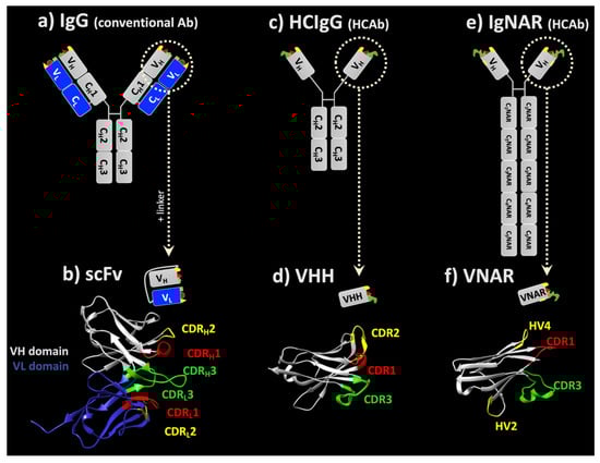 Antibodies 10 00047 g001