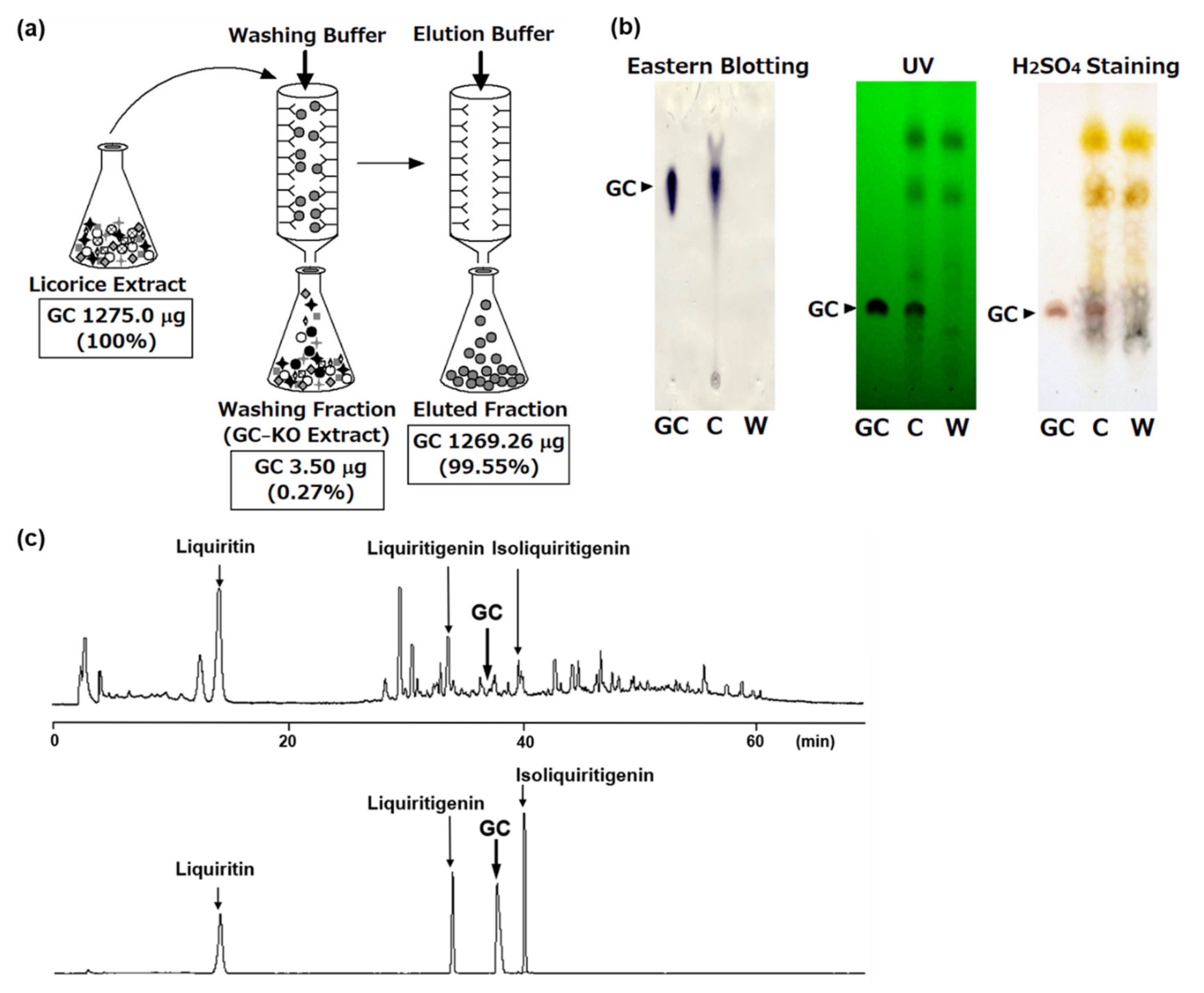 Antibodies 10 00048 g004
