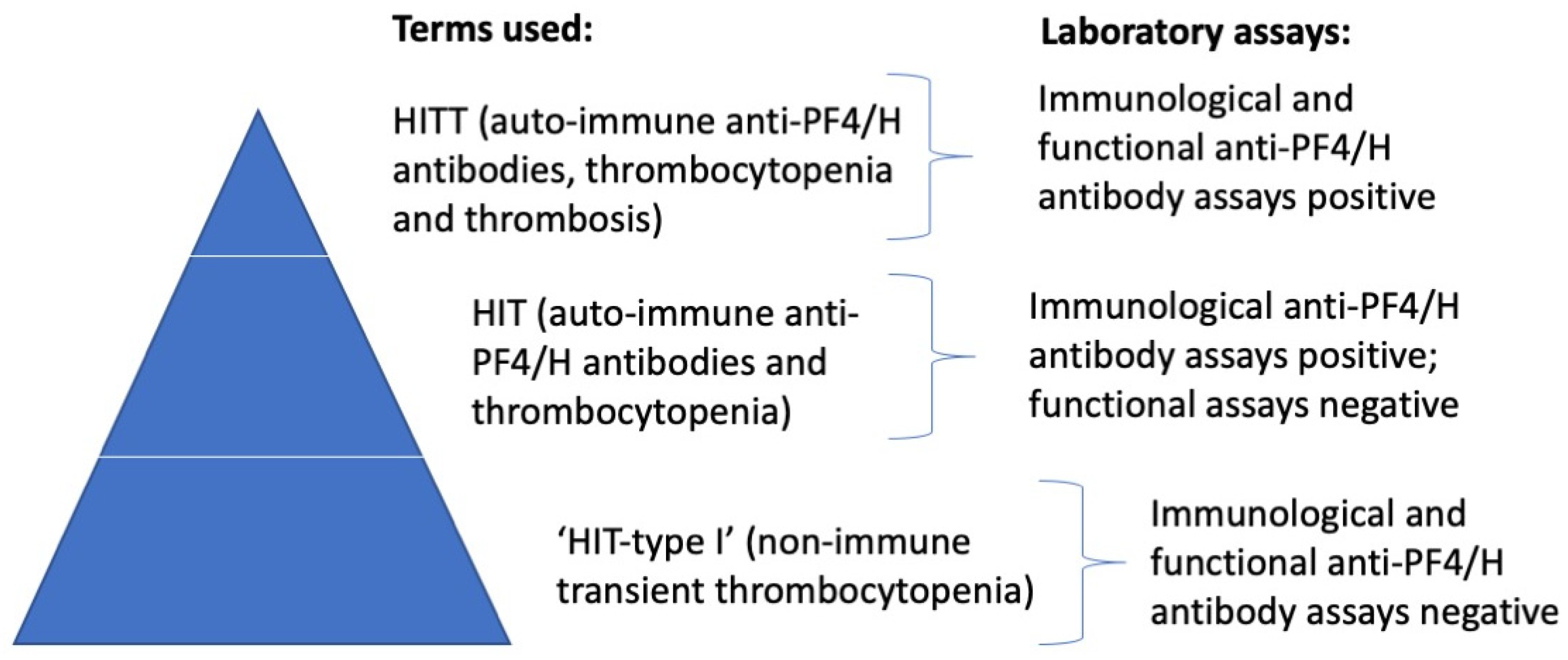 Antibodies 11 00007 g001 Antibodies 11 00007 g001