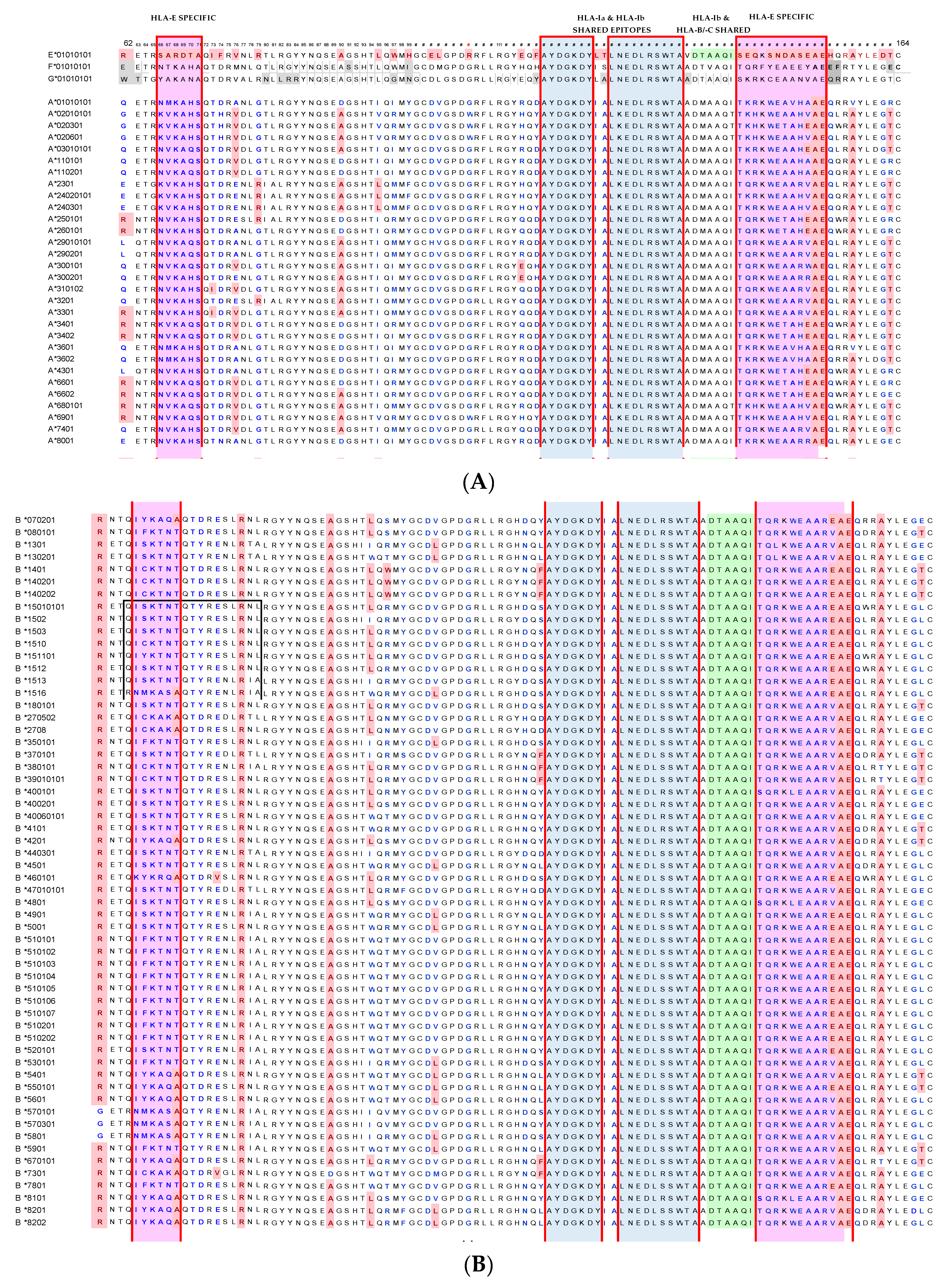 Antibodies 11 00018 g002a Antibodies 11 00018 g002a