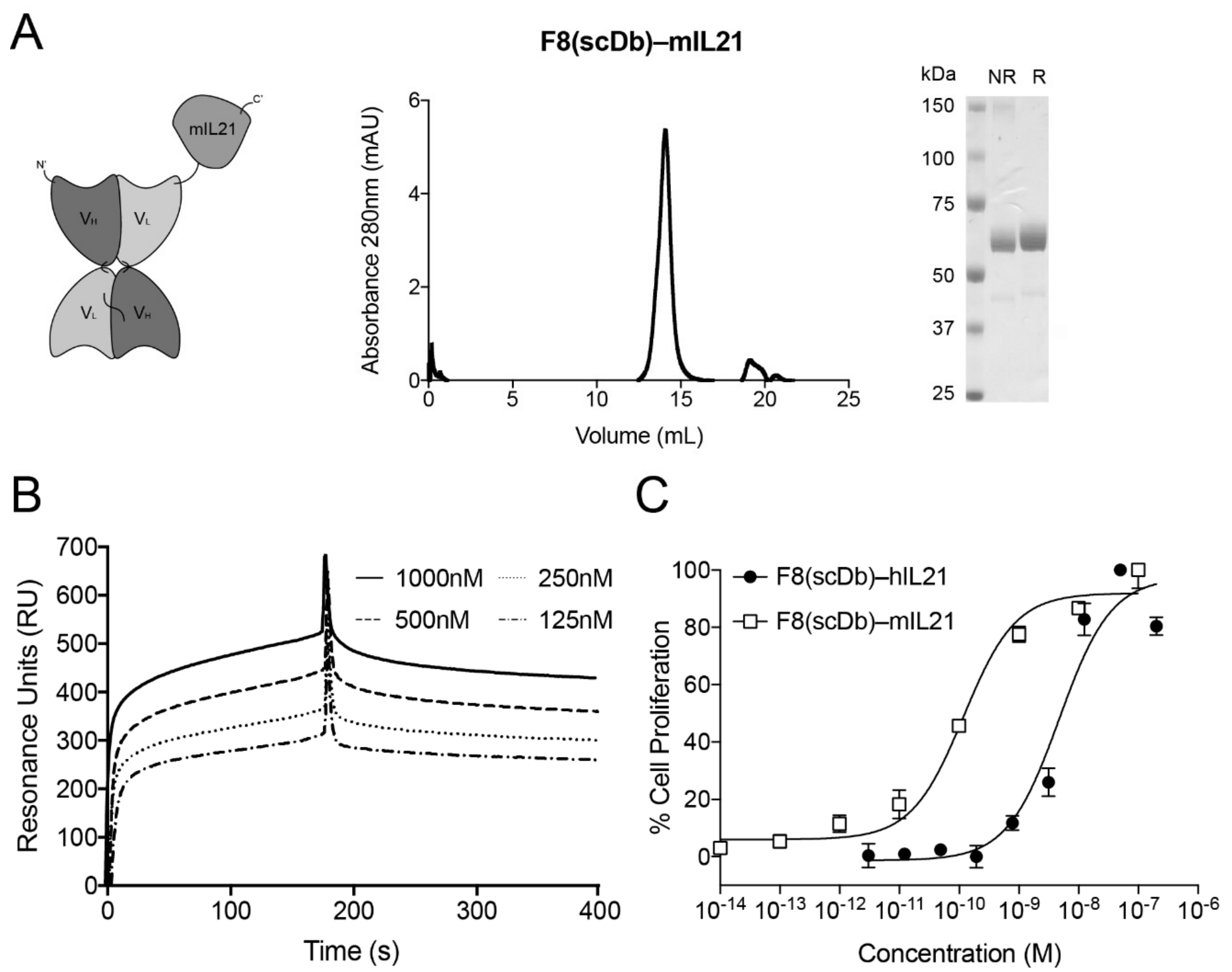 Antibodies 11 00019 g002