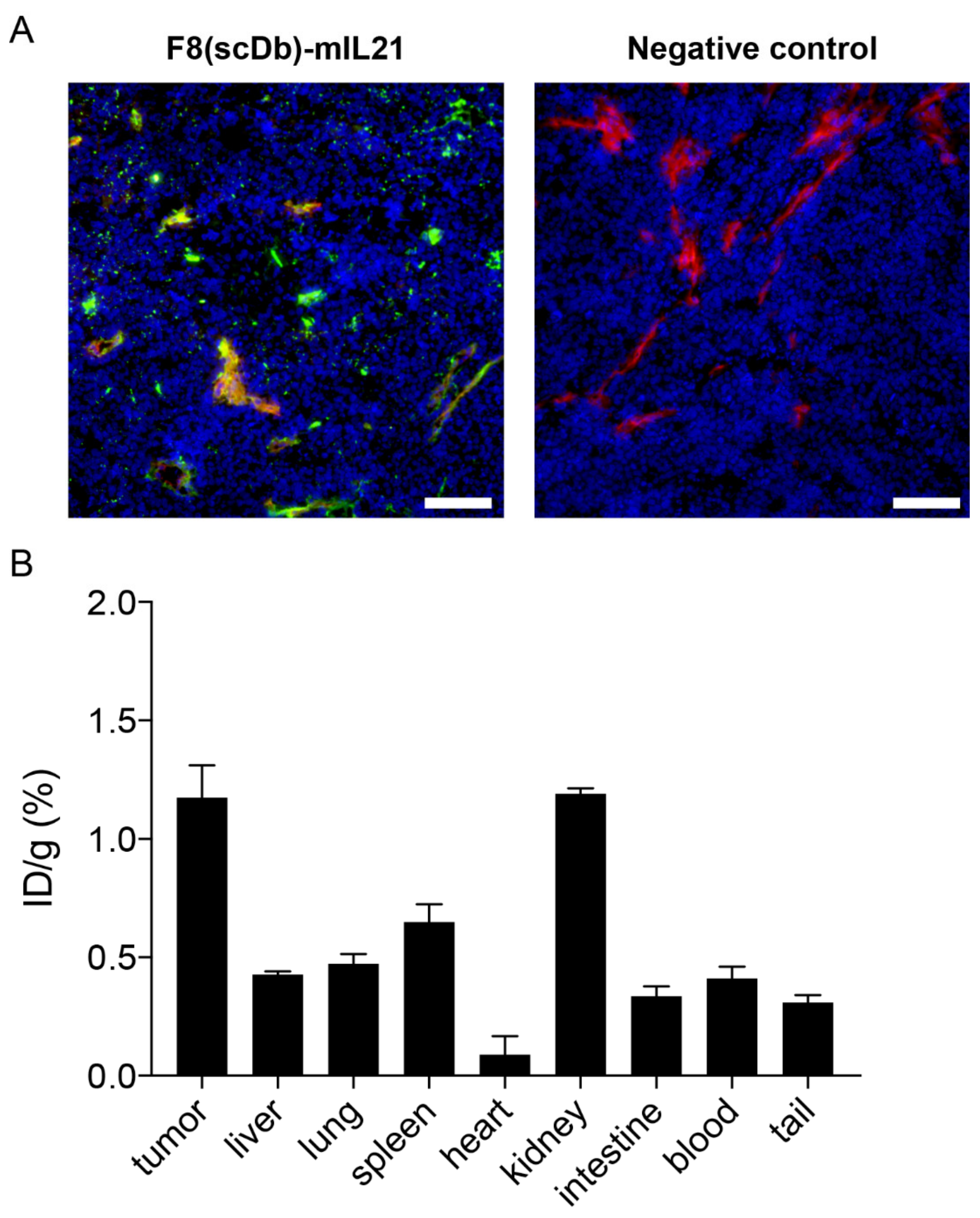 Antibodies 11 00019 g003