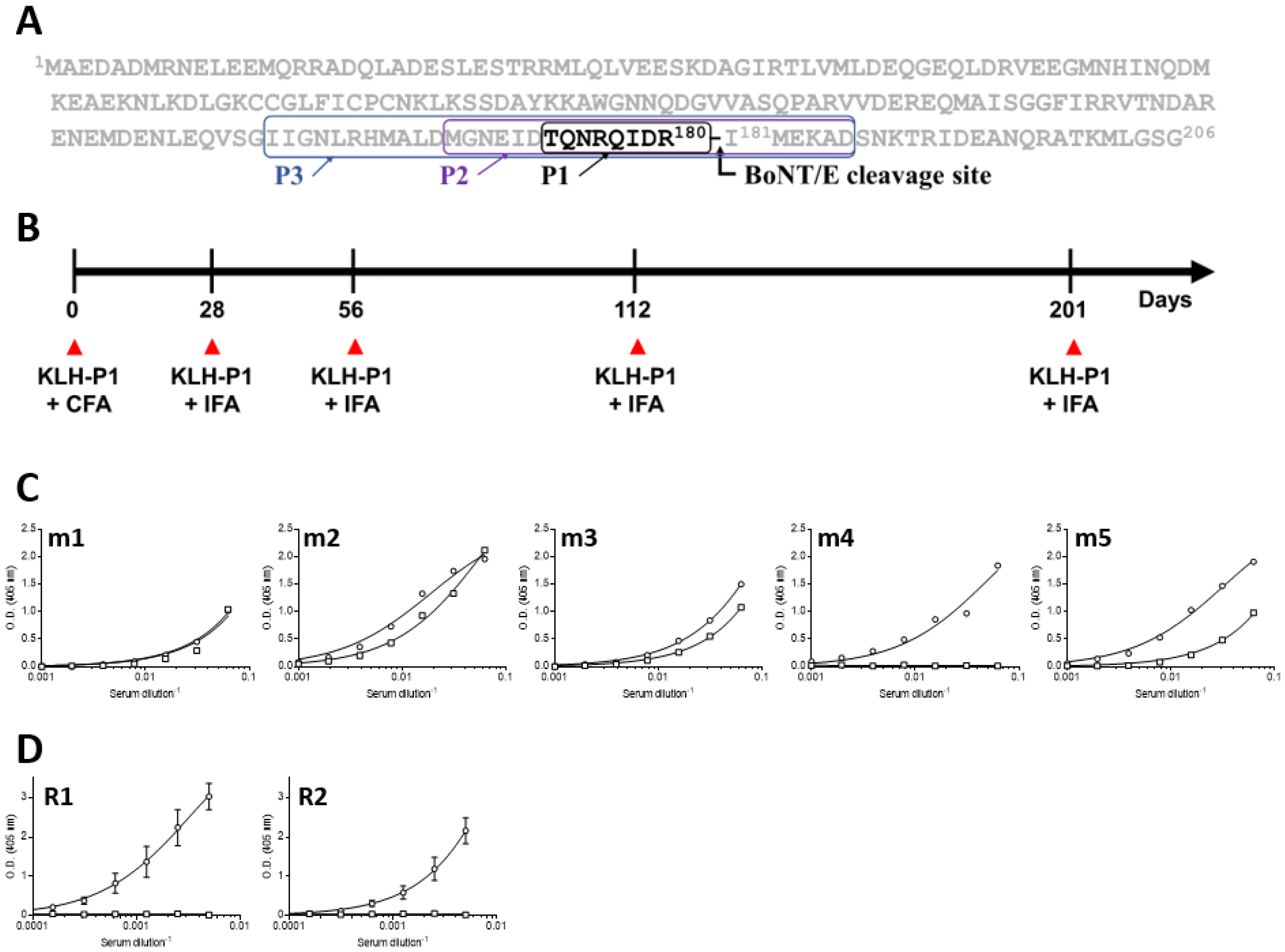 Antibodies 11 00021 g001