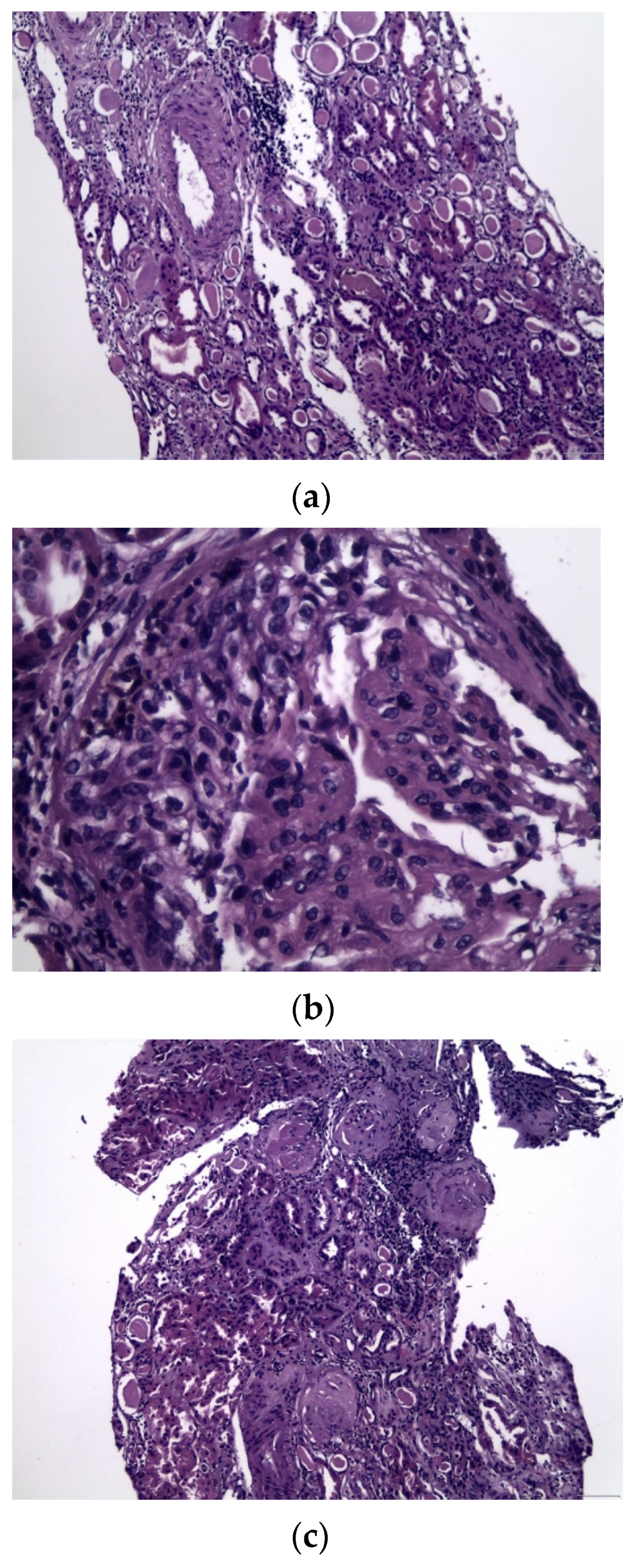 Antibodies 11 00033 g002
