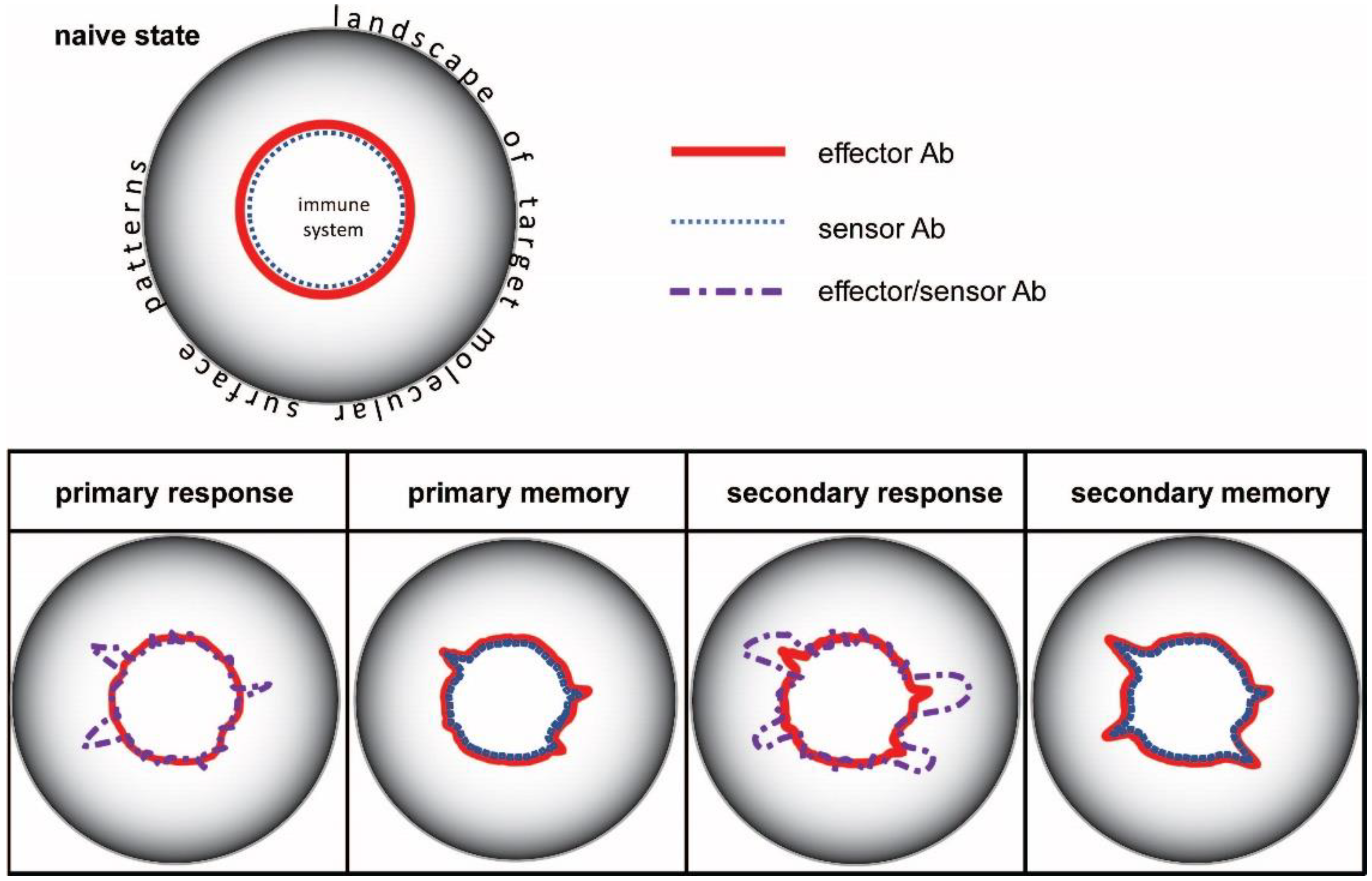 Antibodies 11 00043 g002 Antibodies 11 00043 g002