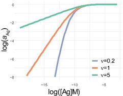 Antibodies 11 00043 i006