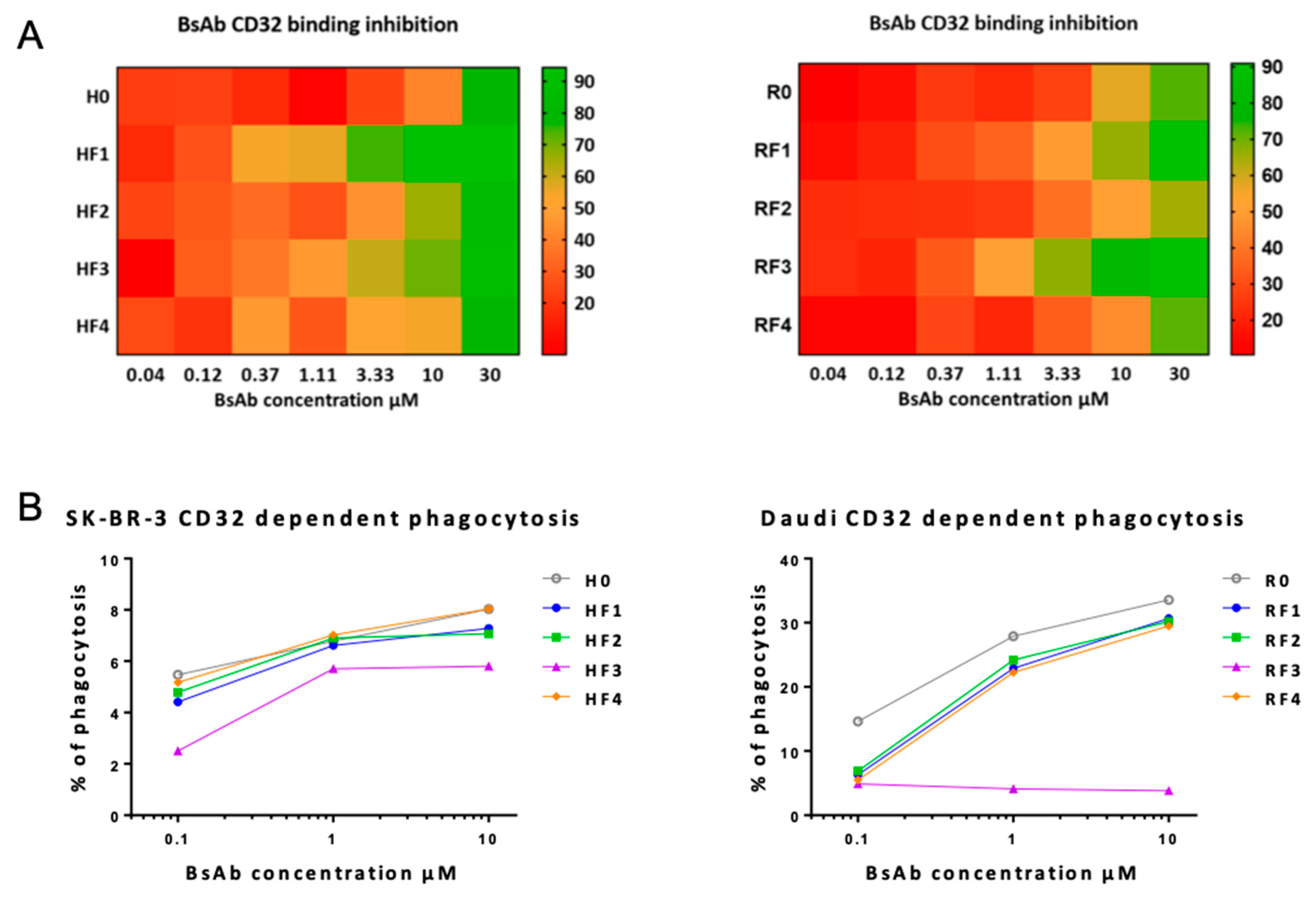 Antibodies 11 00054 g006 Antibodies 11 00054 g006