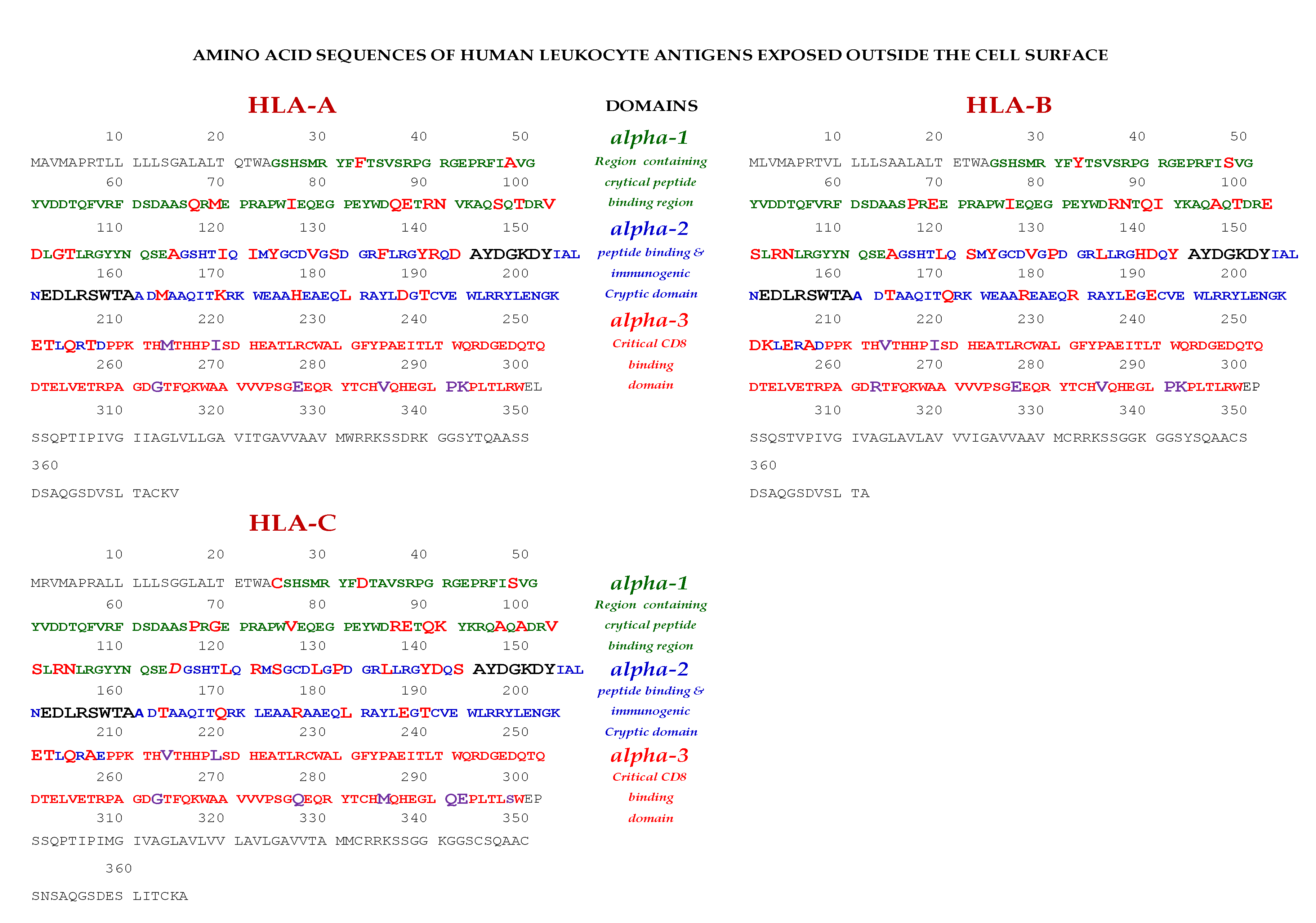 Antibodies 11 00058 g002