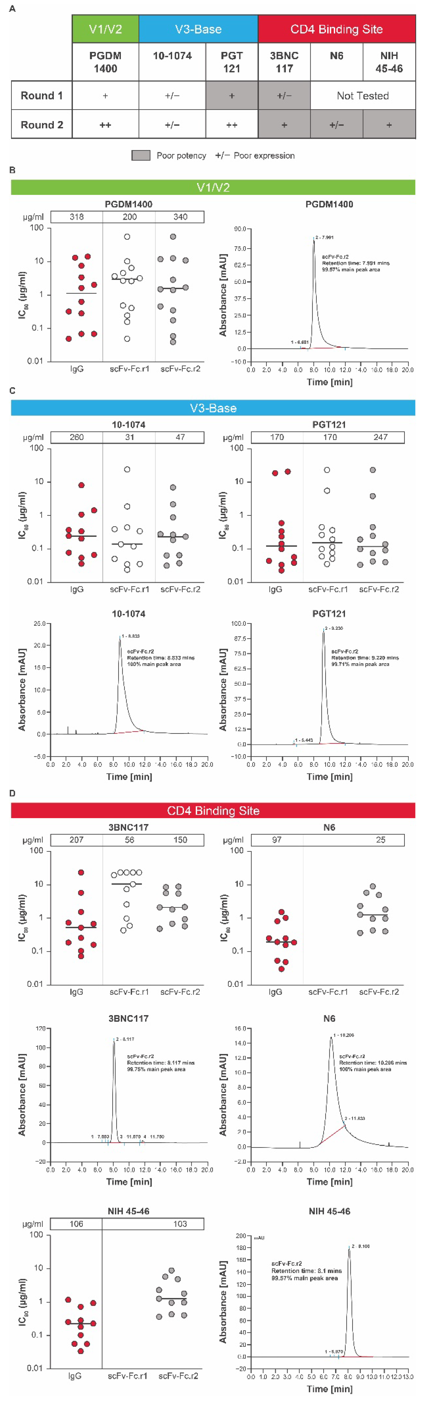 Antibodies 11 00067 g002 Antibodies 11 00067 g002