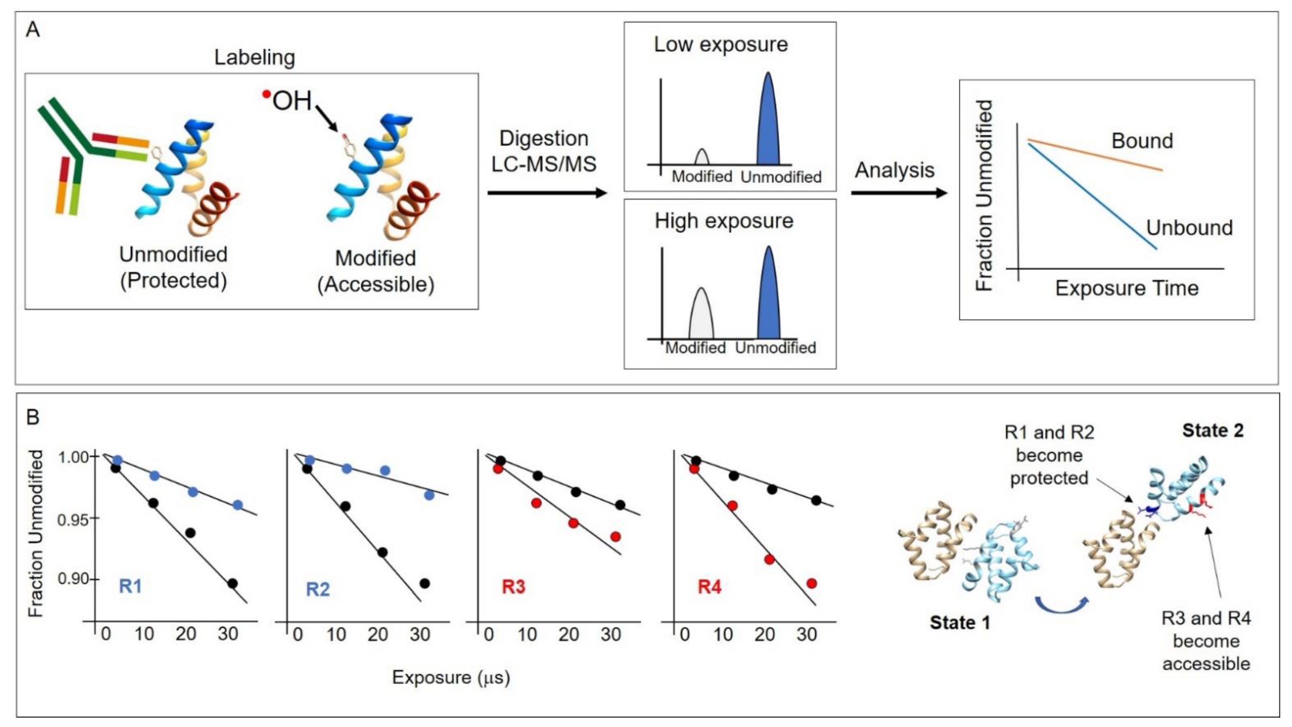 Antibodies 11 00071 g002
