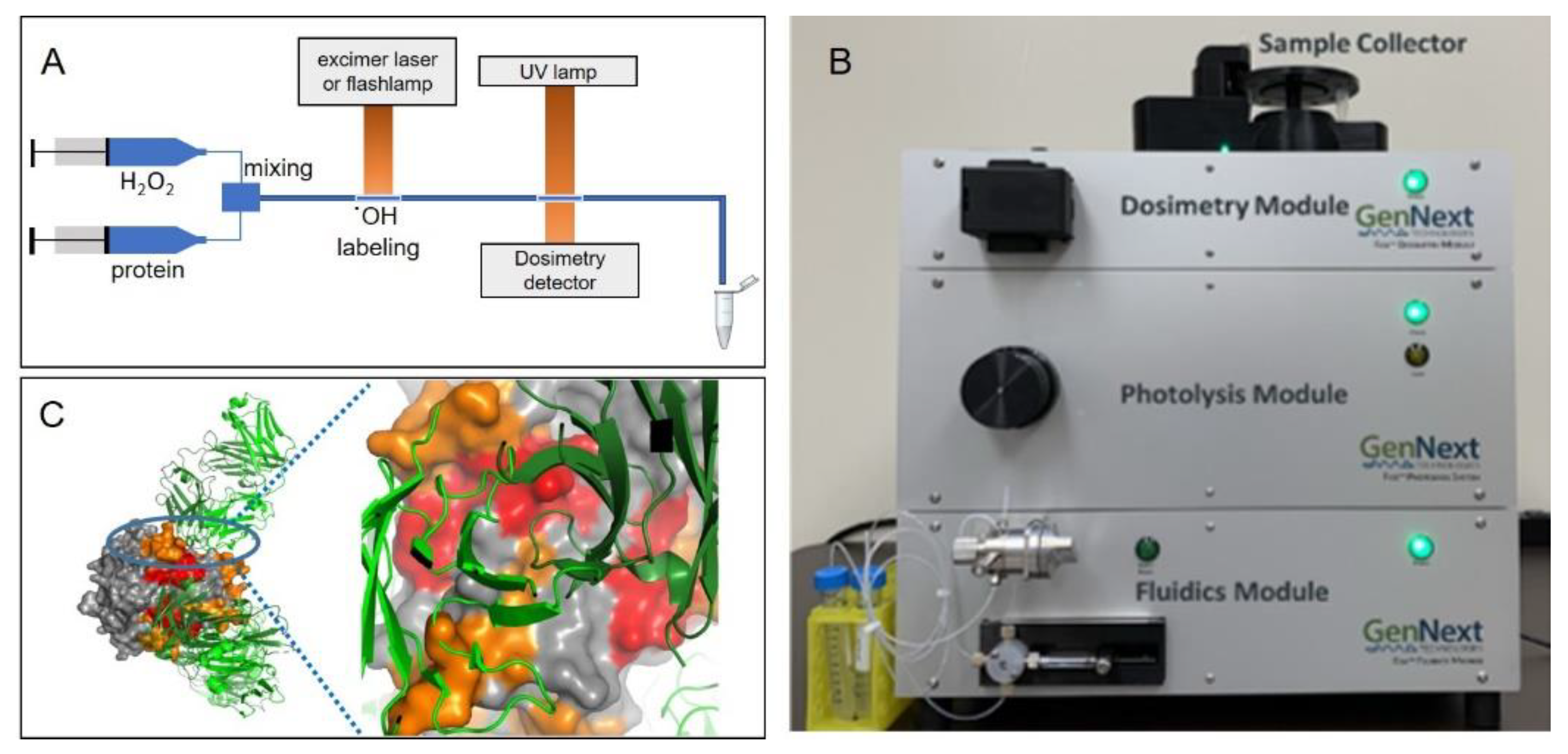 Antibodies 11 00071 g004