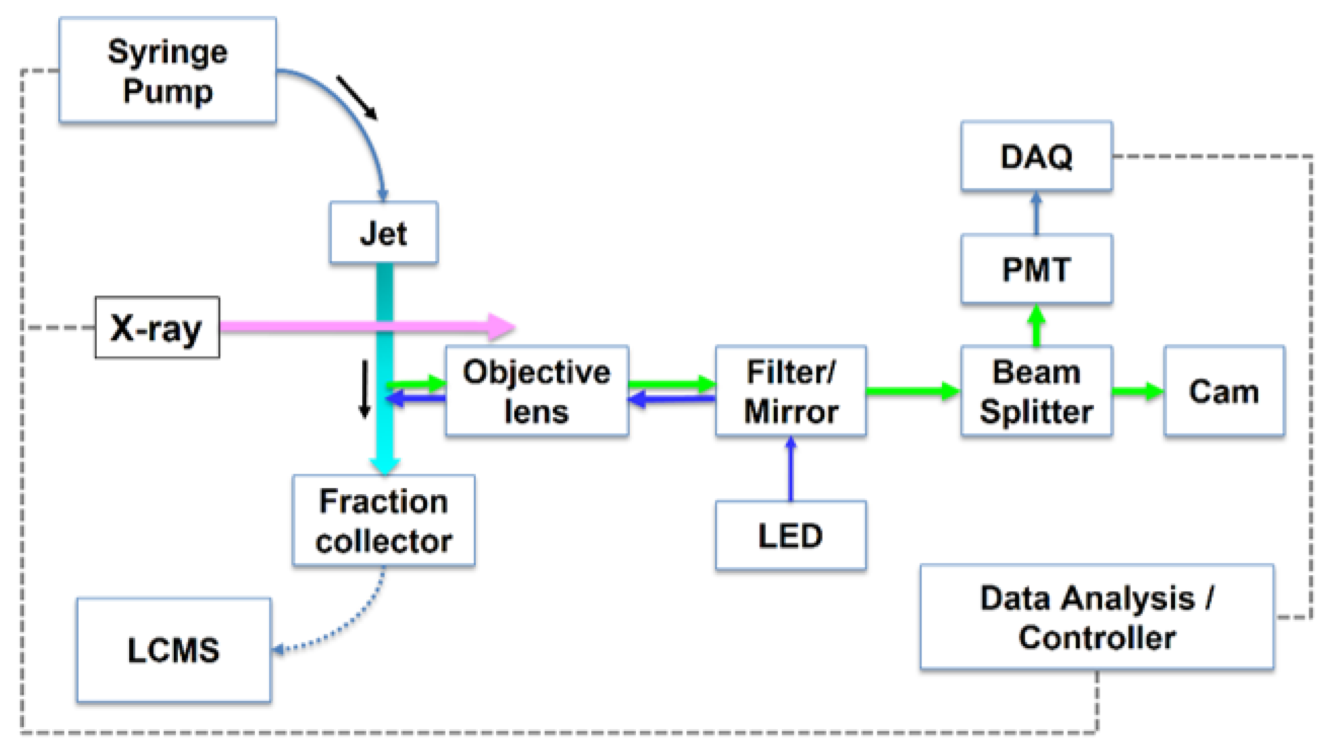Antibodies 11 00071 g006