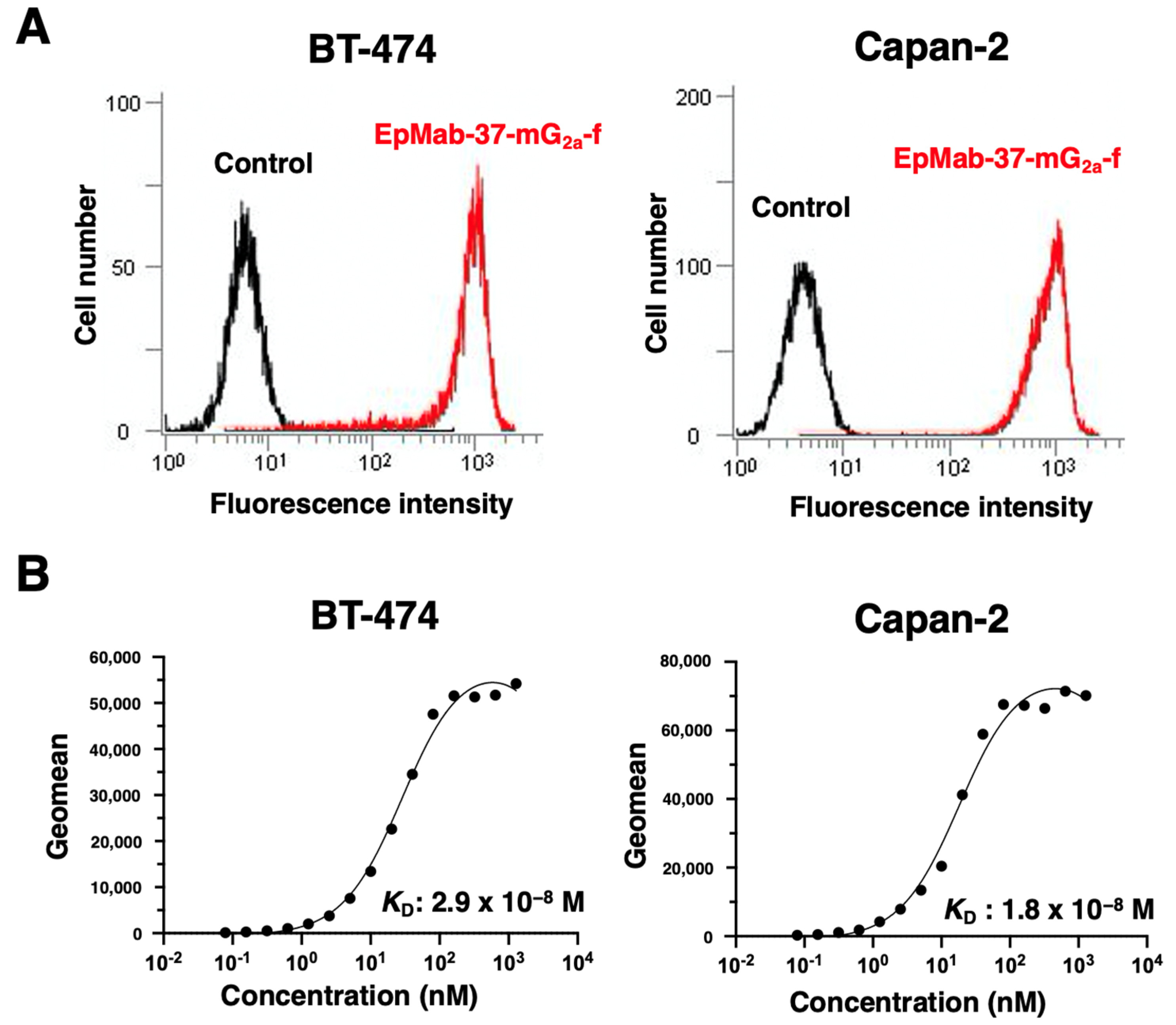 Antibodies 11 00074 g001