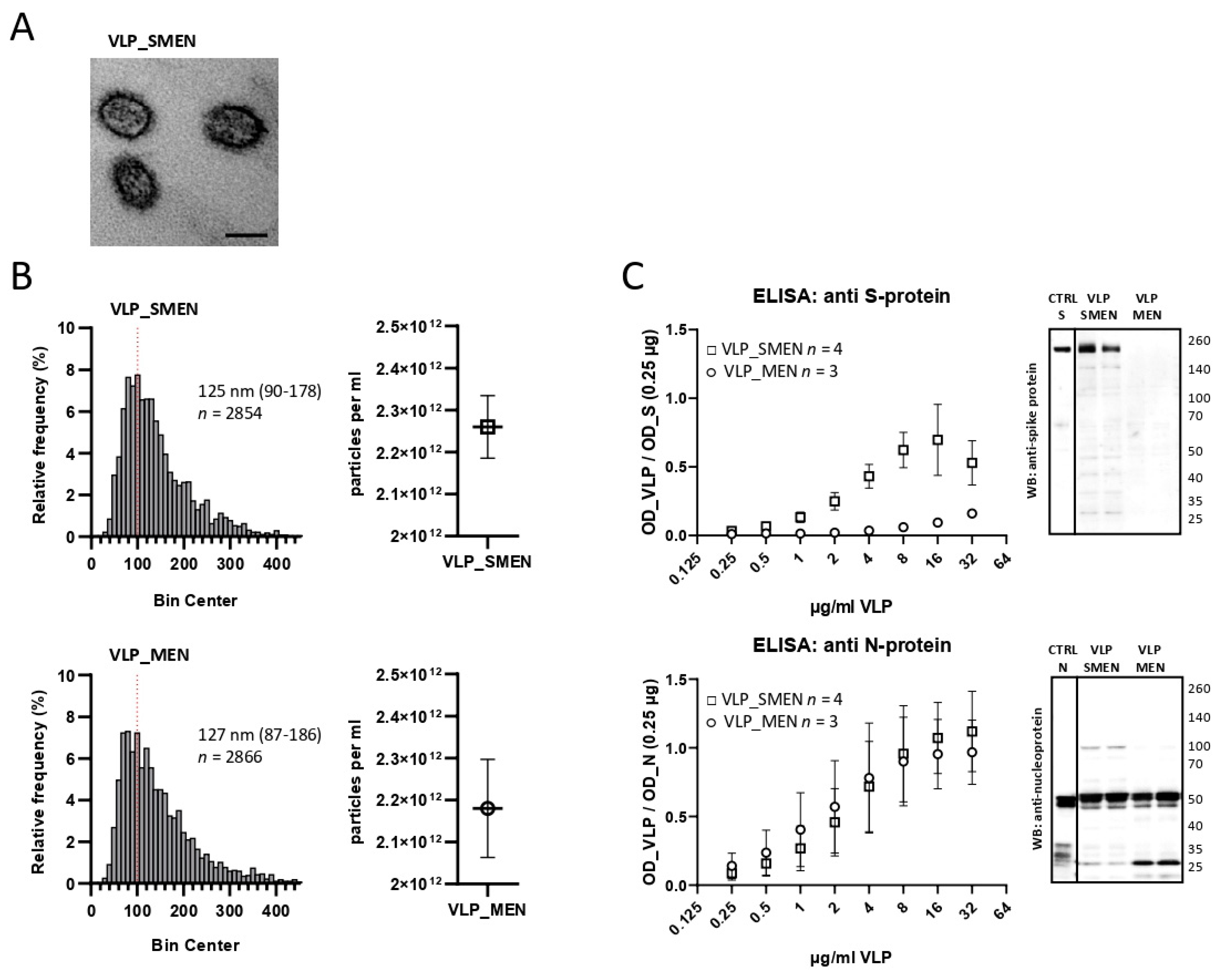 Antibodies 11 00076 g001 Antibodies 11 00076 g001