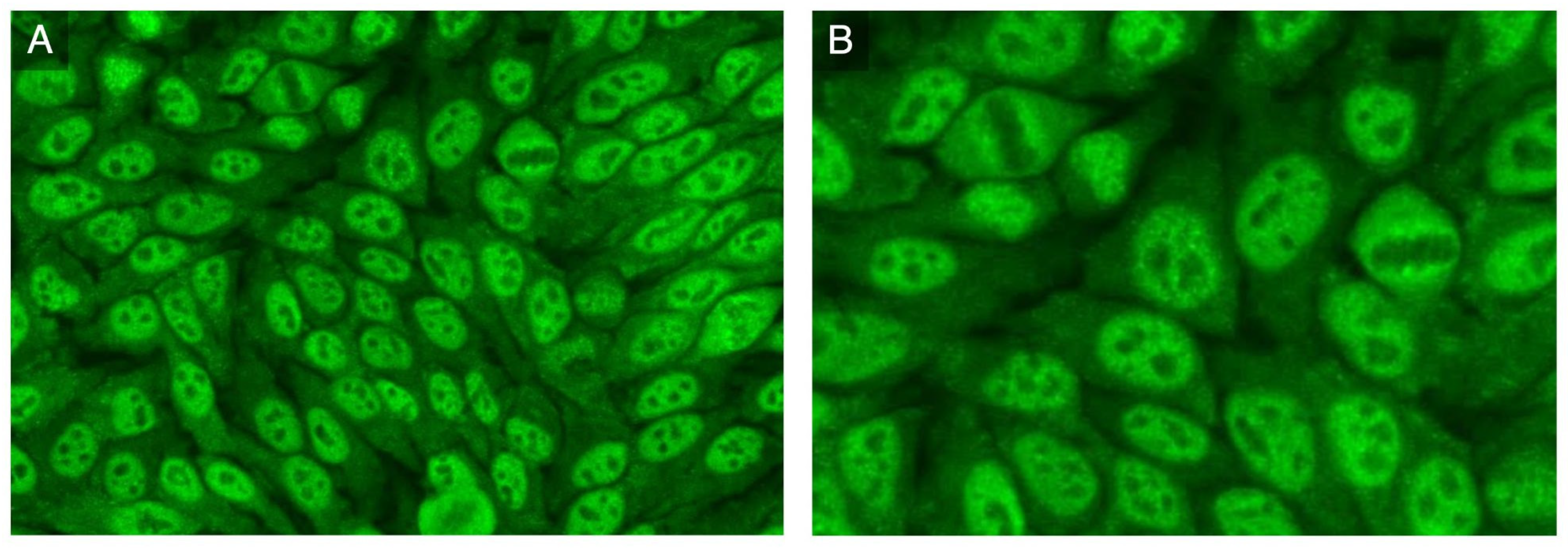 Antibodies 12 00013 g002