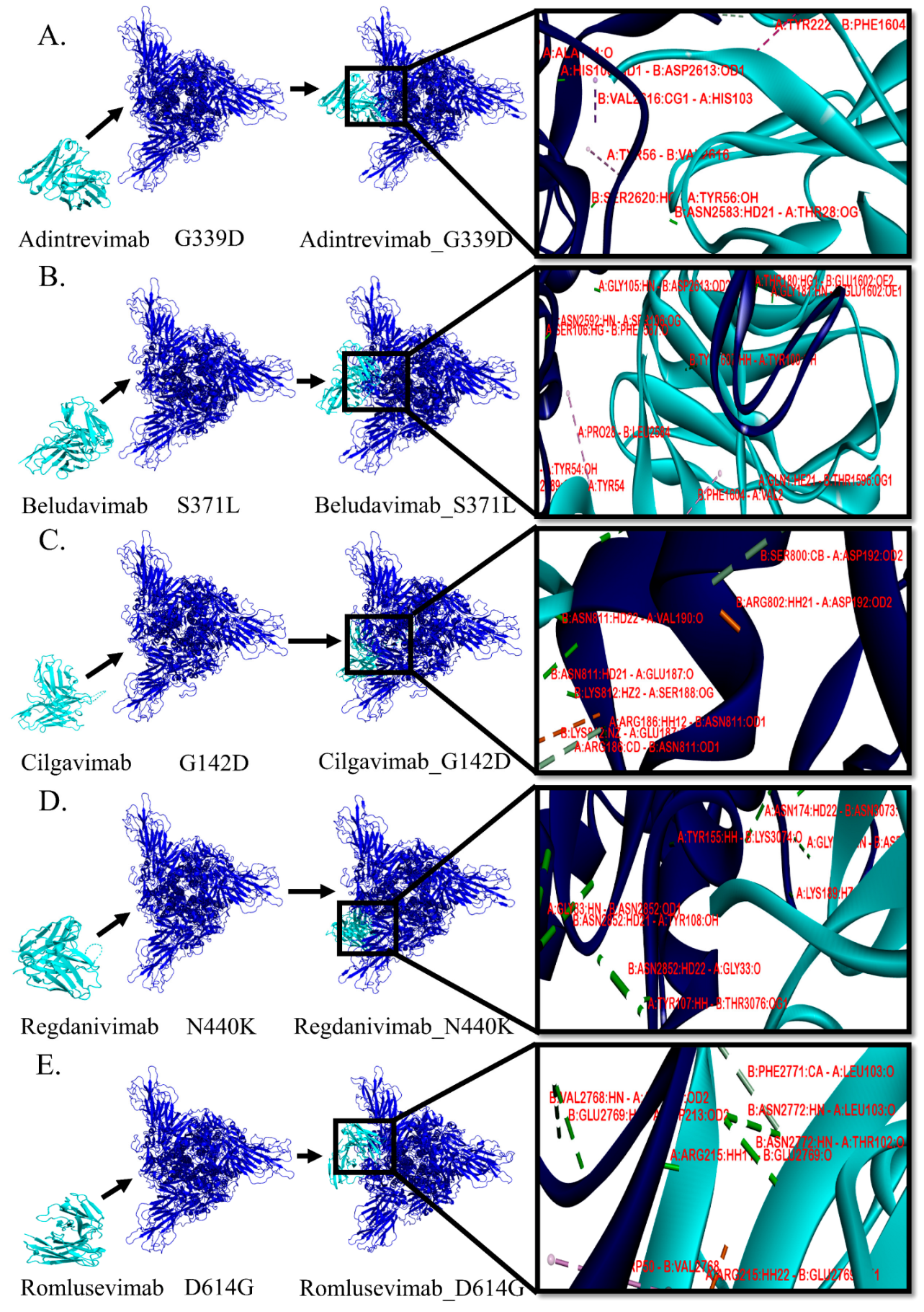 Antibodies 12 00017 g001