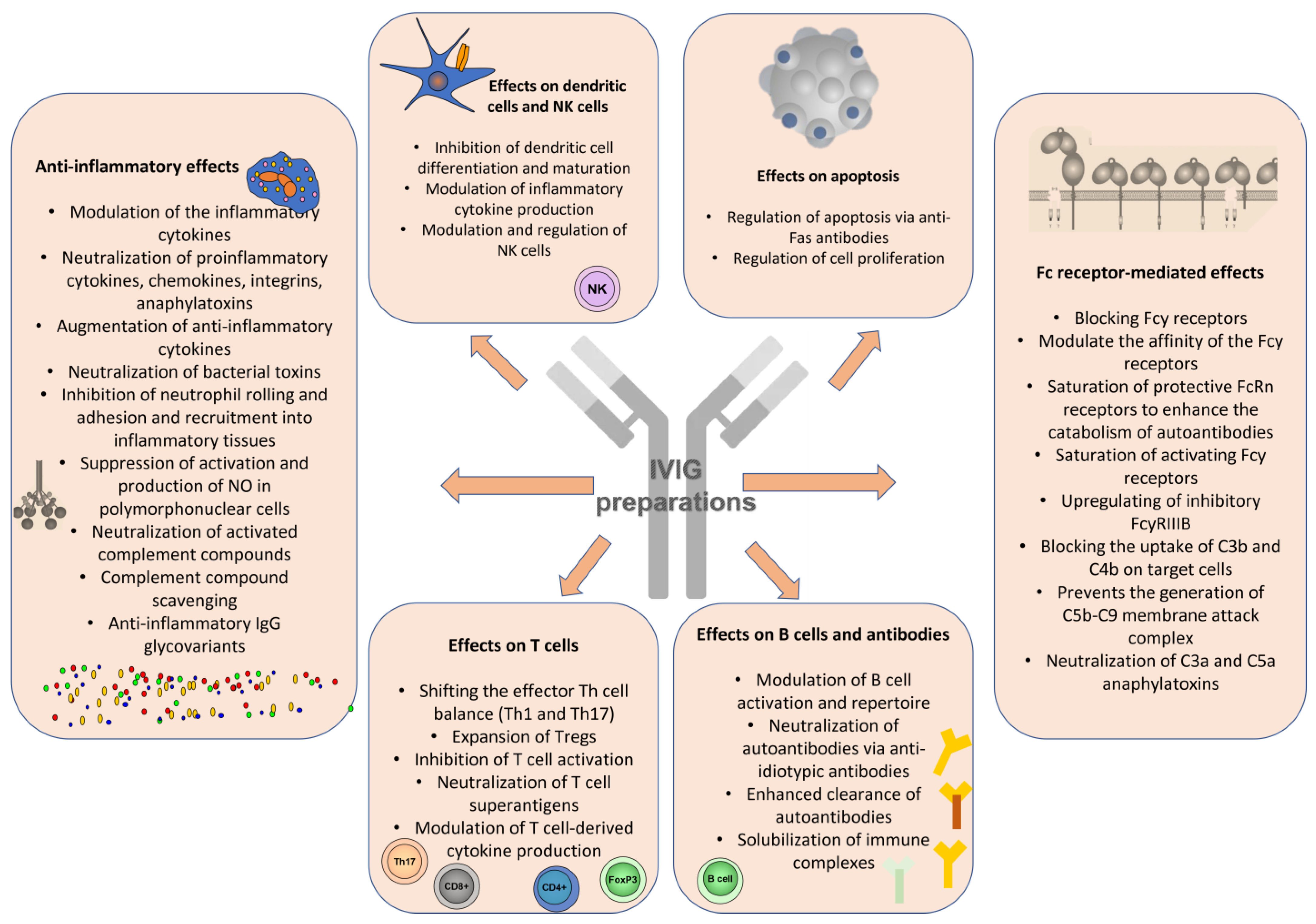 Antibodies 12 00020 g001 Antibodies 12 00020 g001