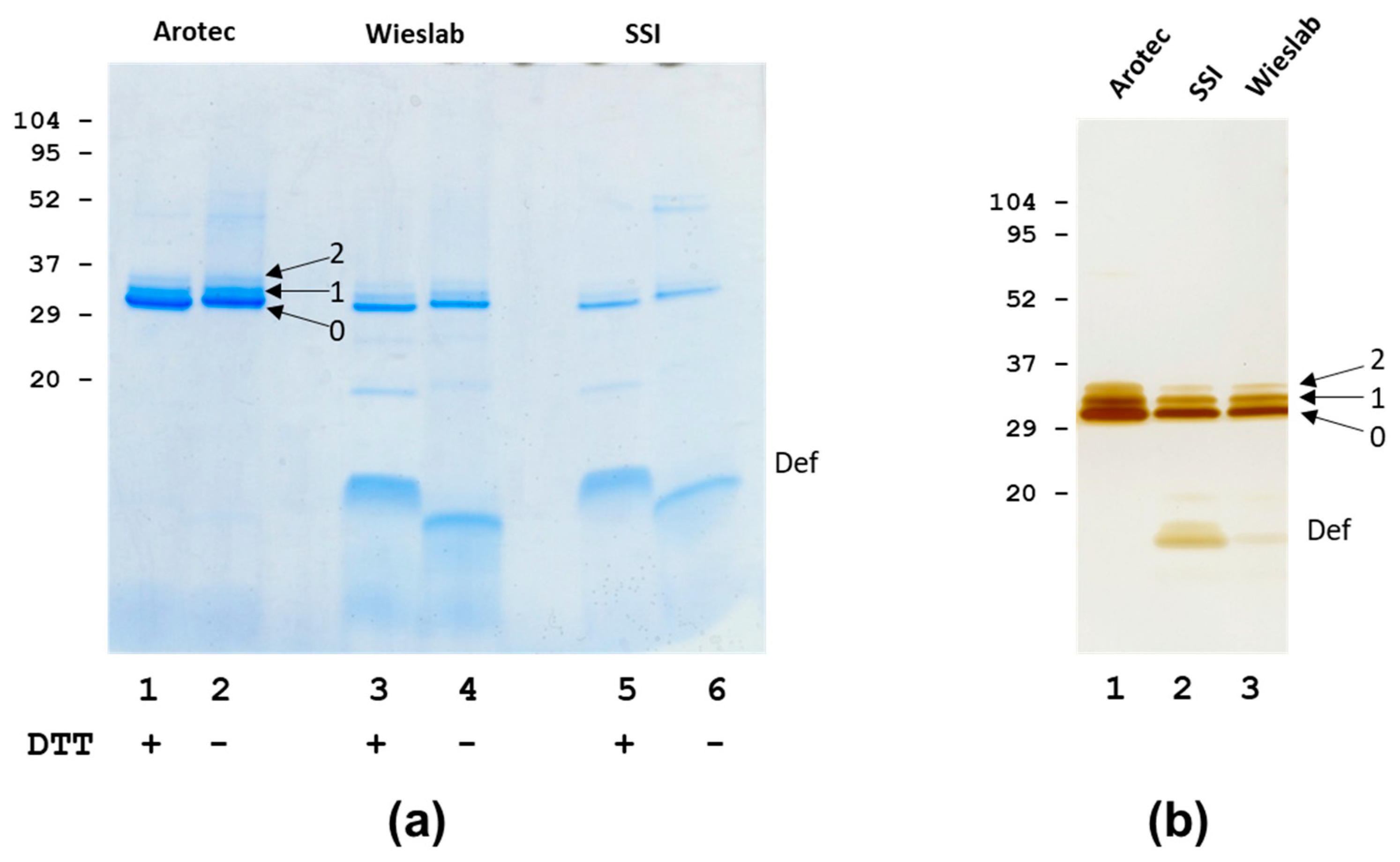Antibodies 12 00023 g001 Antibodies 12 00023 g001