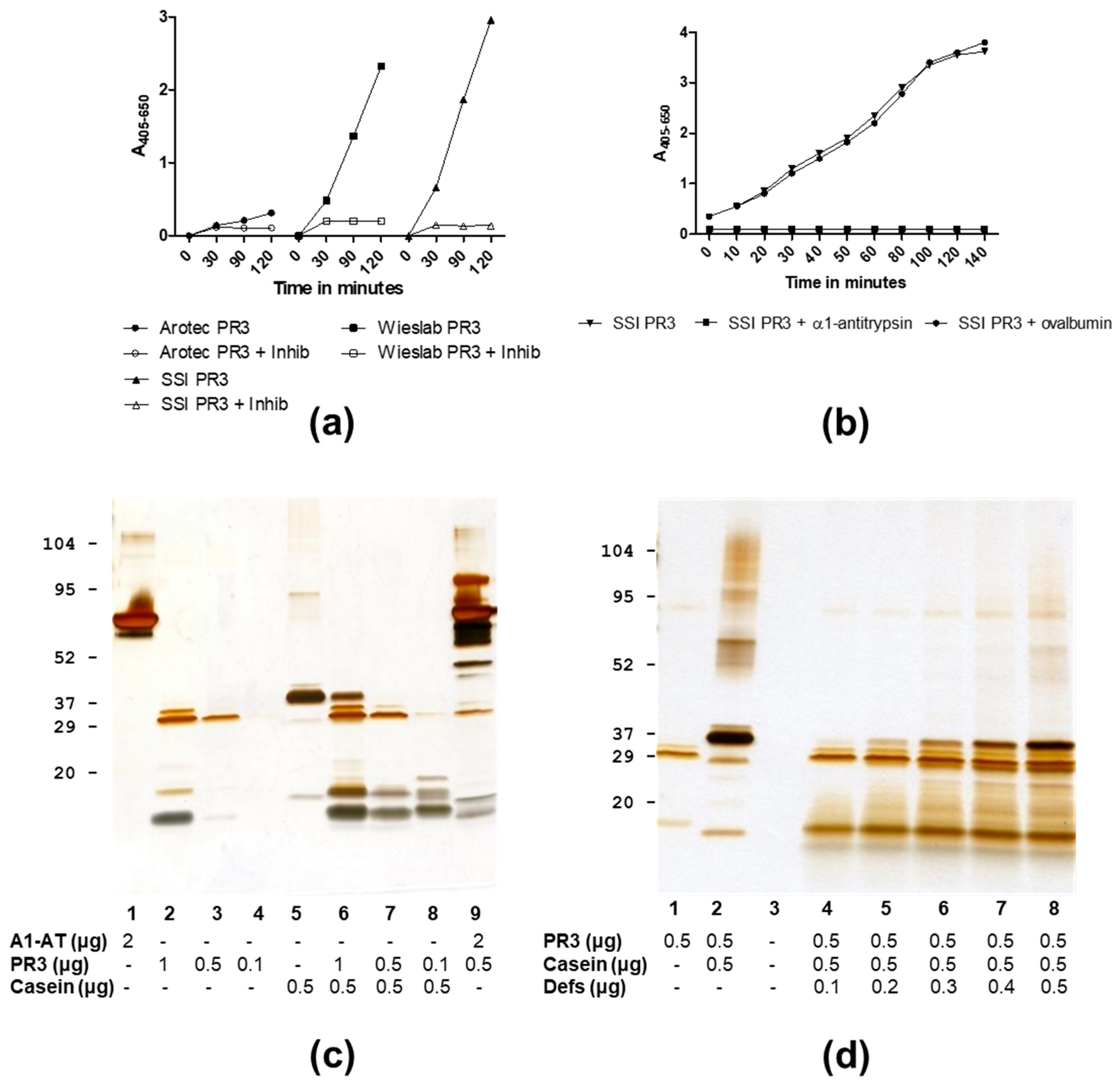 Antibodies 12 00023 g002 Antibodies 12 00023 g002
