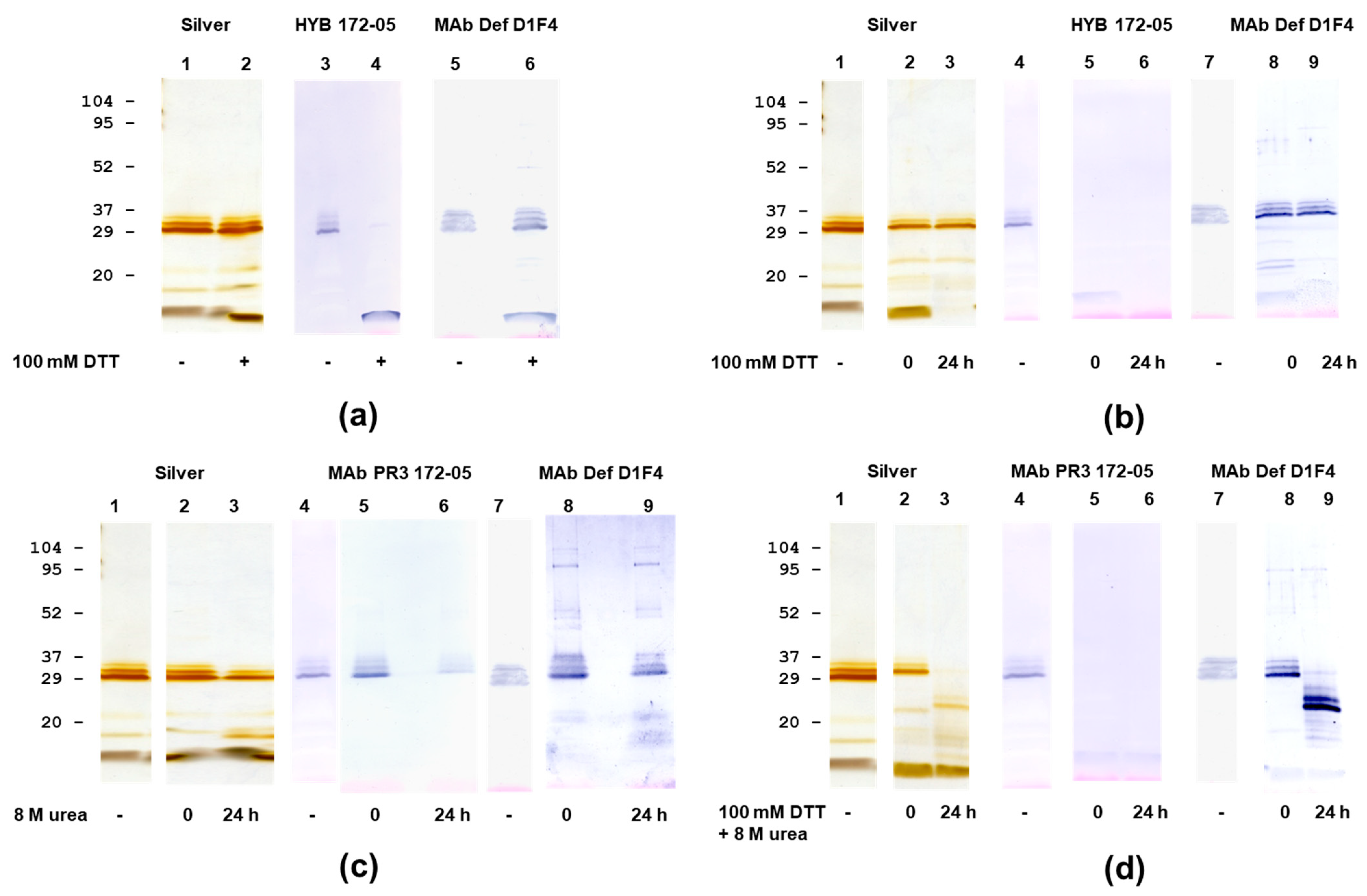 Antibodies 12 00023 g006 Antibodies 12 00023 g006