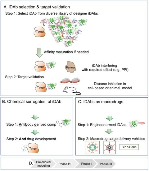 Antibodies 12 00024 g003