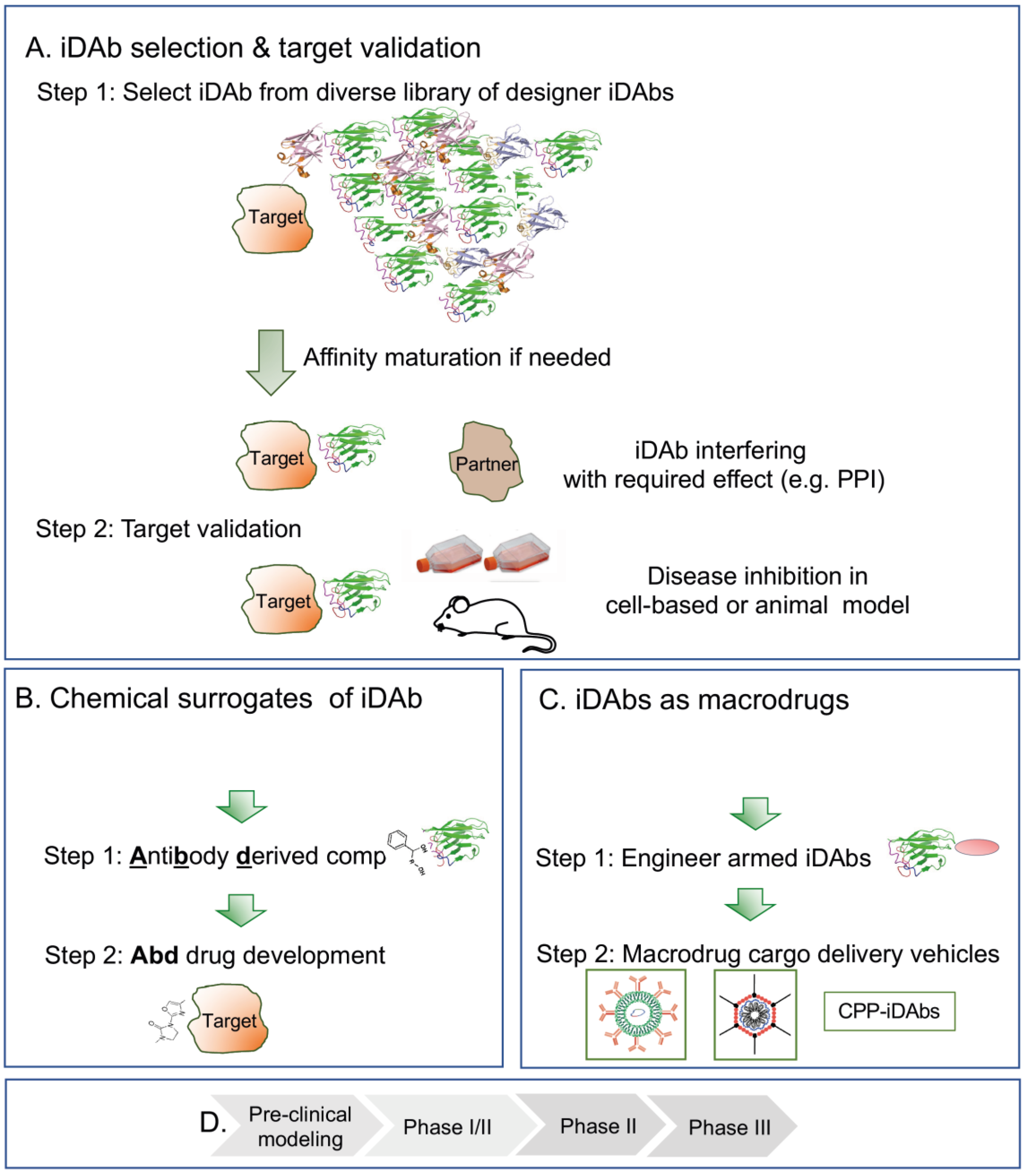 Antibodies 12 00024 g003