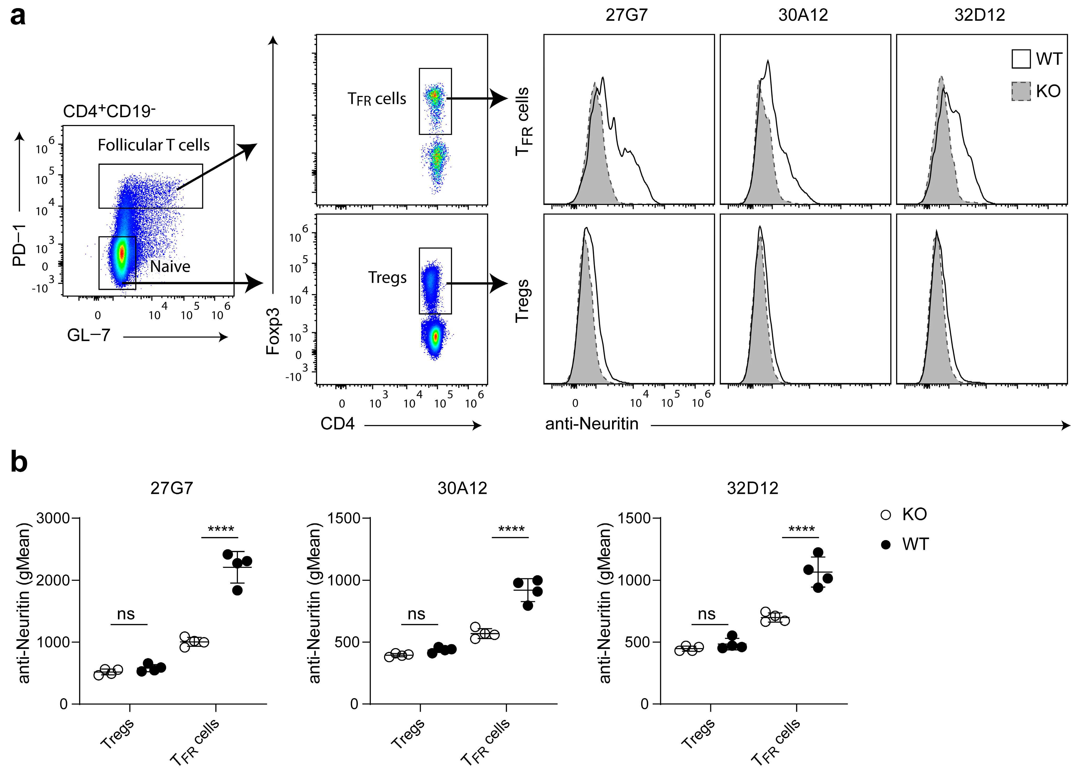 Antibodies 12 00028 g003