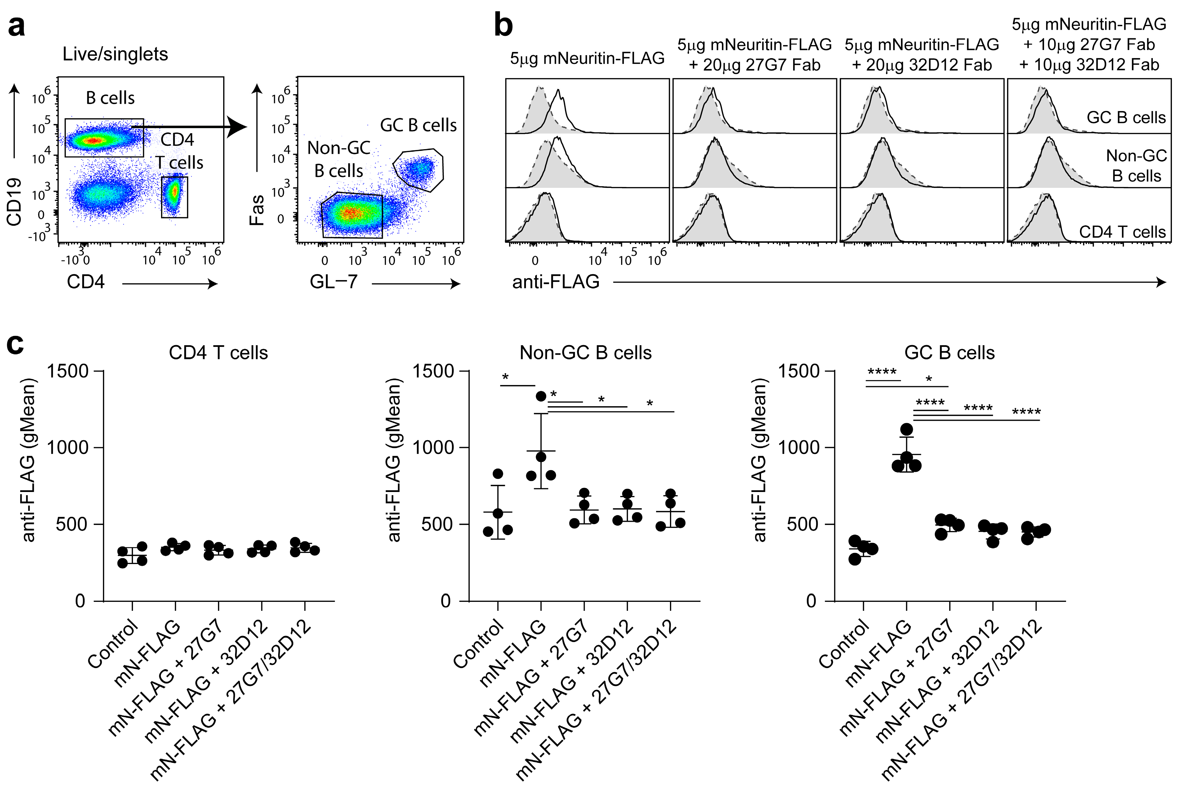 Antibodies 12 00028 g004