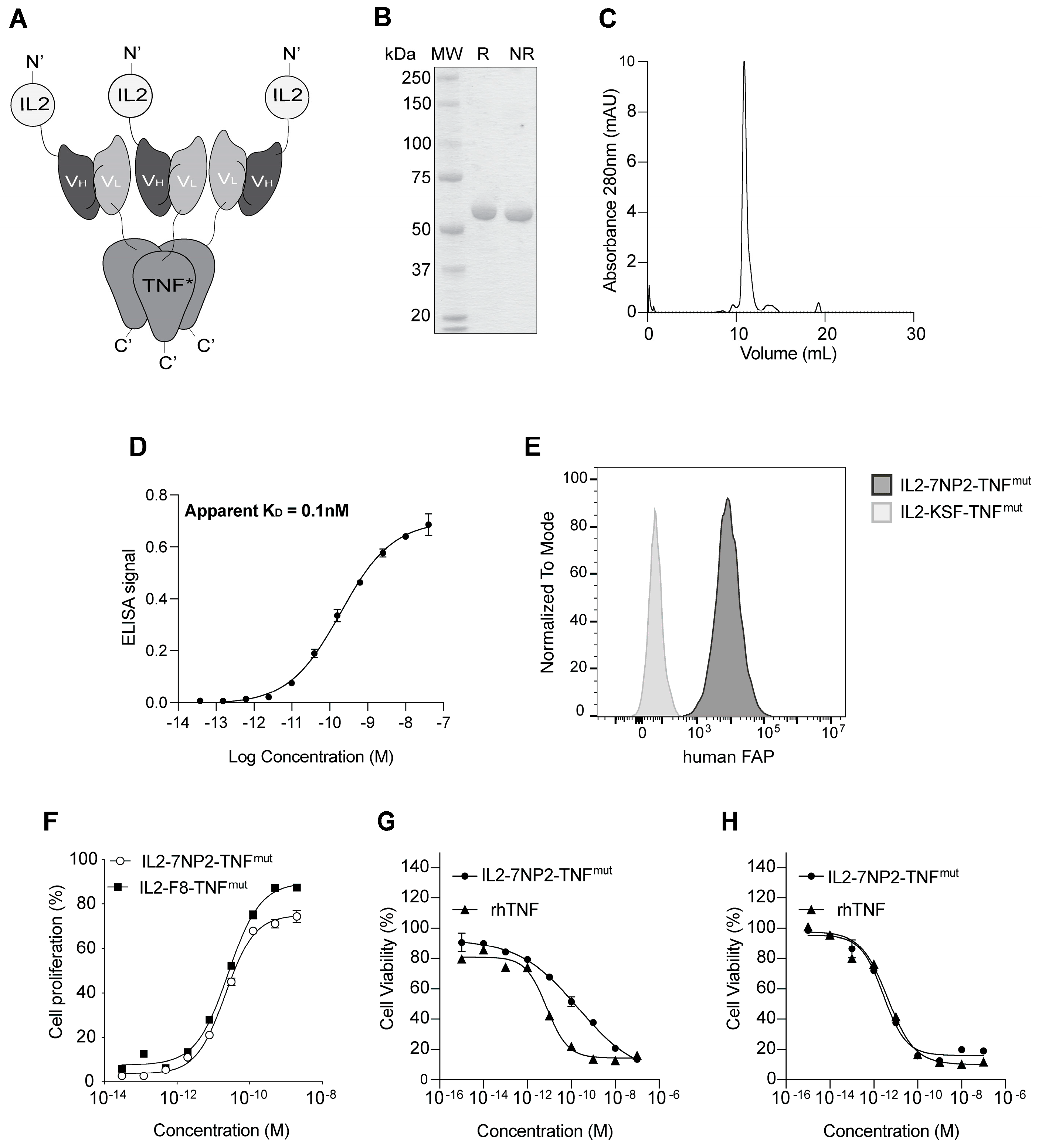 Antibodies 12 00029 g001