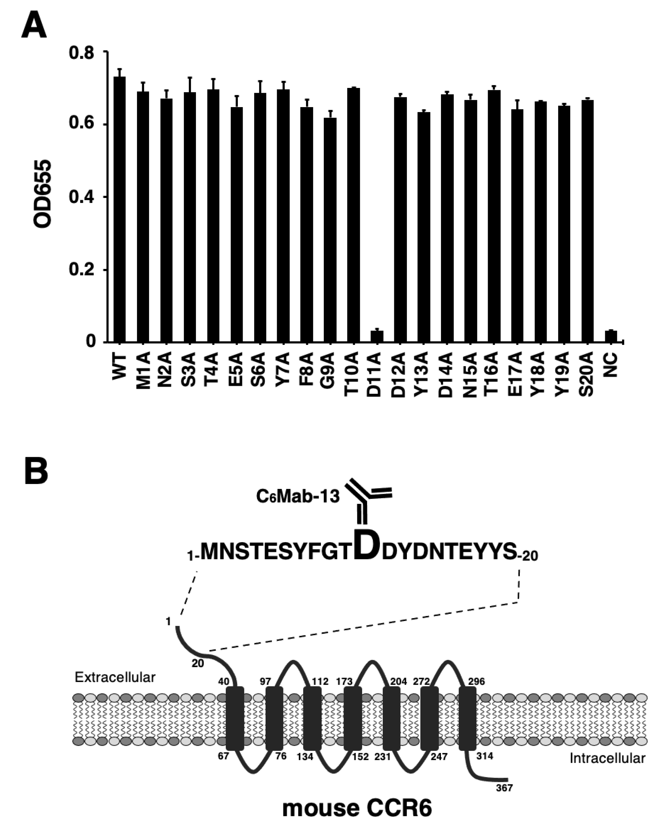 Antibodies 12 00032 g001