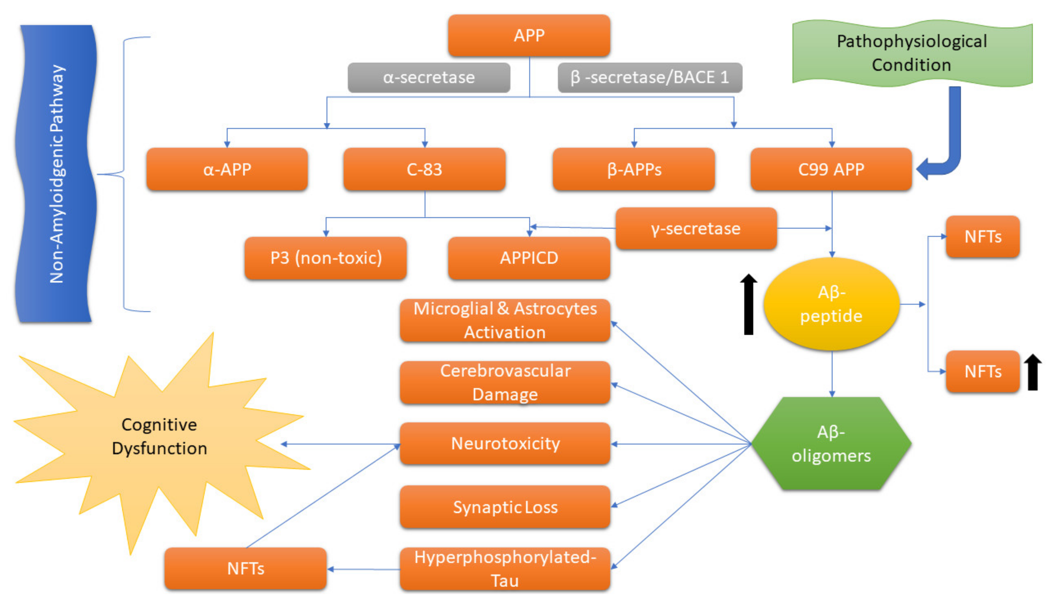 Antibodies 12 00041 g001