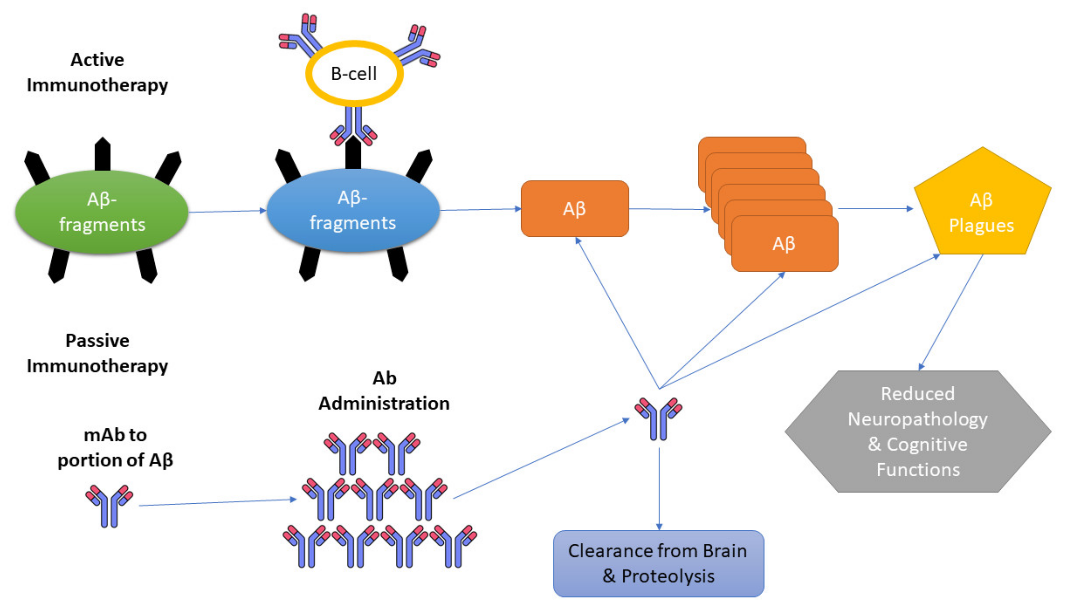 Antibodies 12 00041 g002