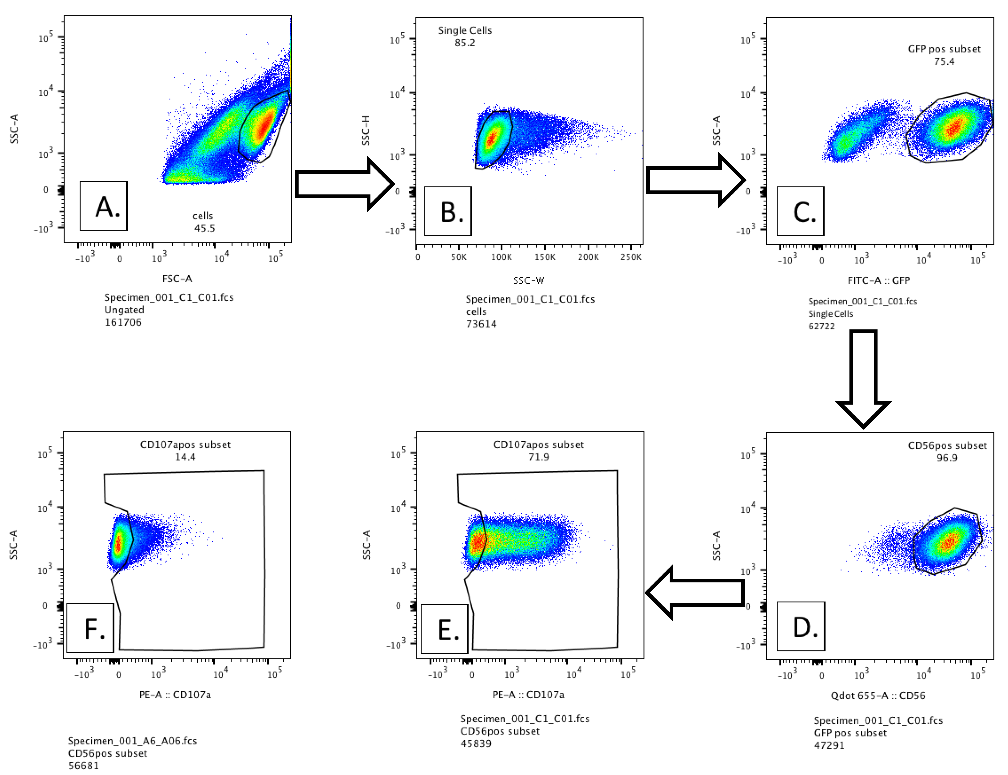 Antibodies 12 00044 g0a1