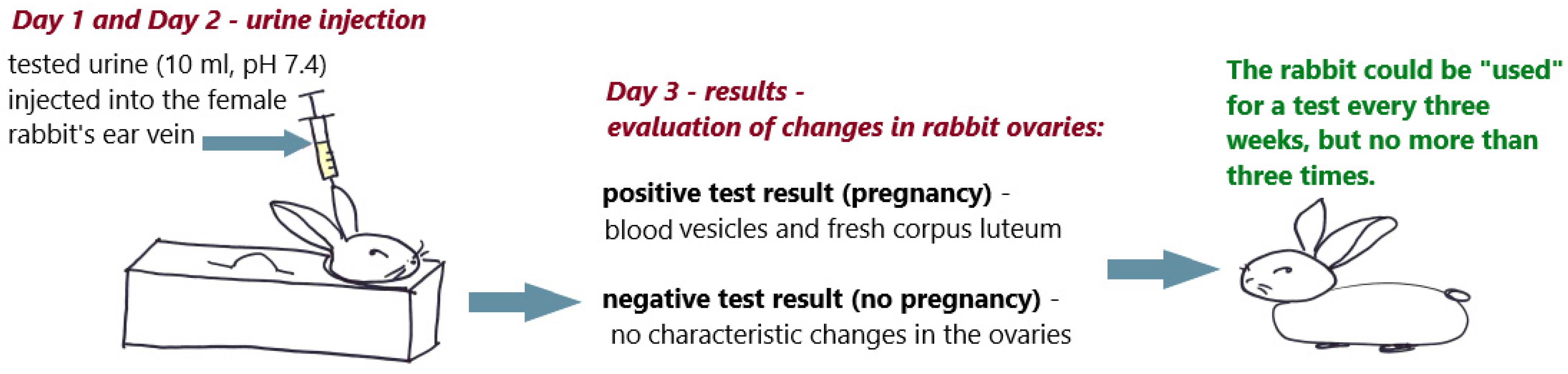 Antibodies 12 00056 g003