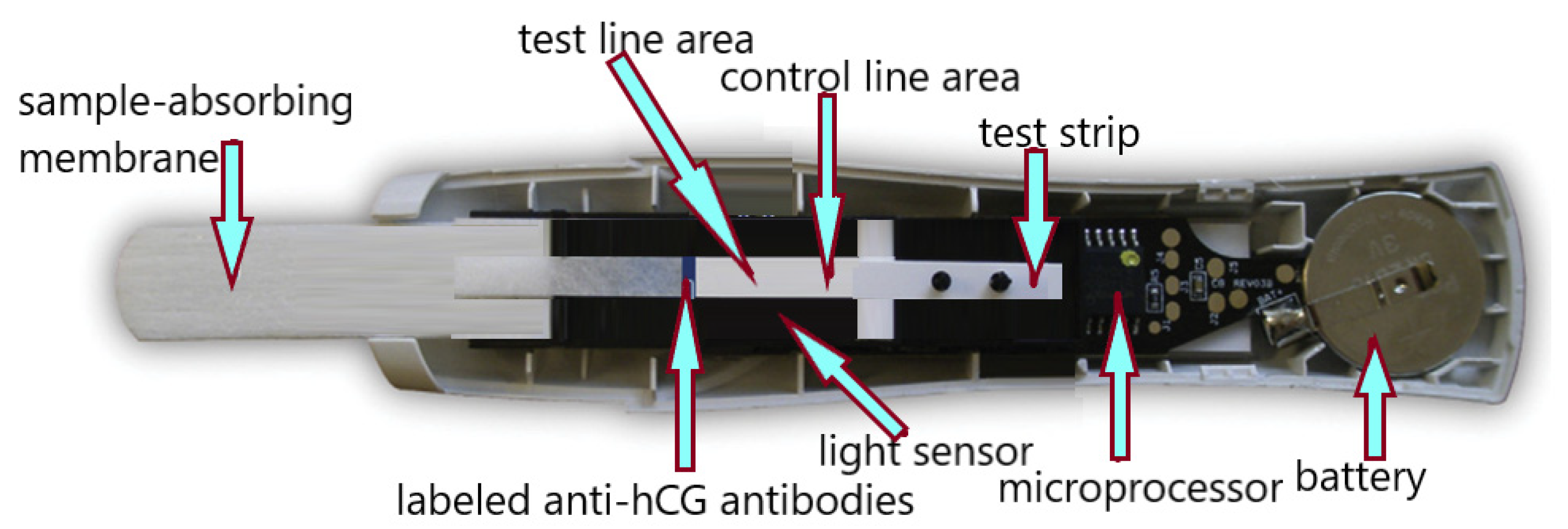 Antibodies 12 00056 g012