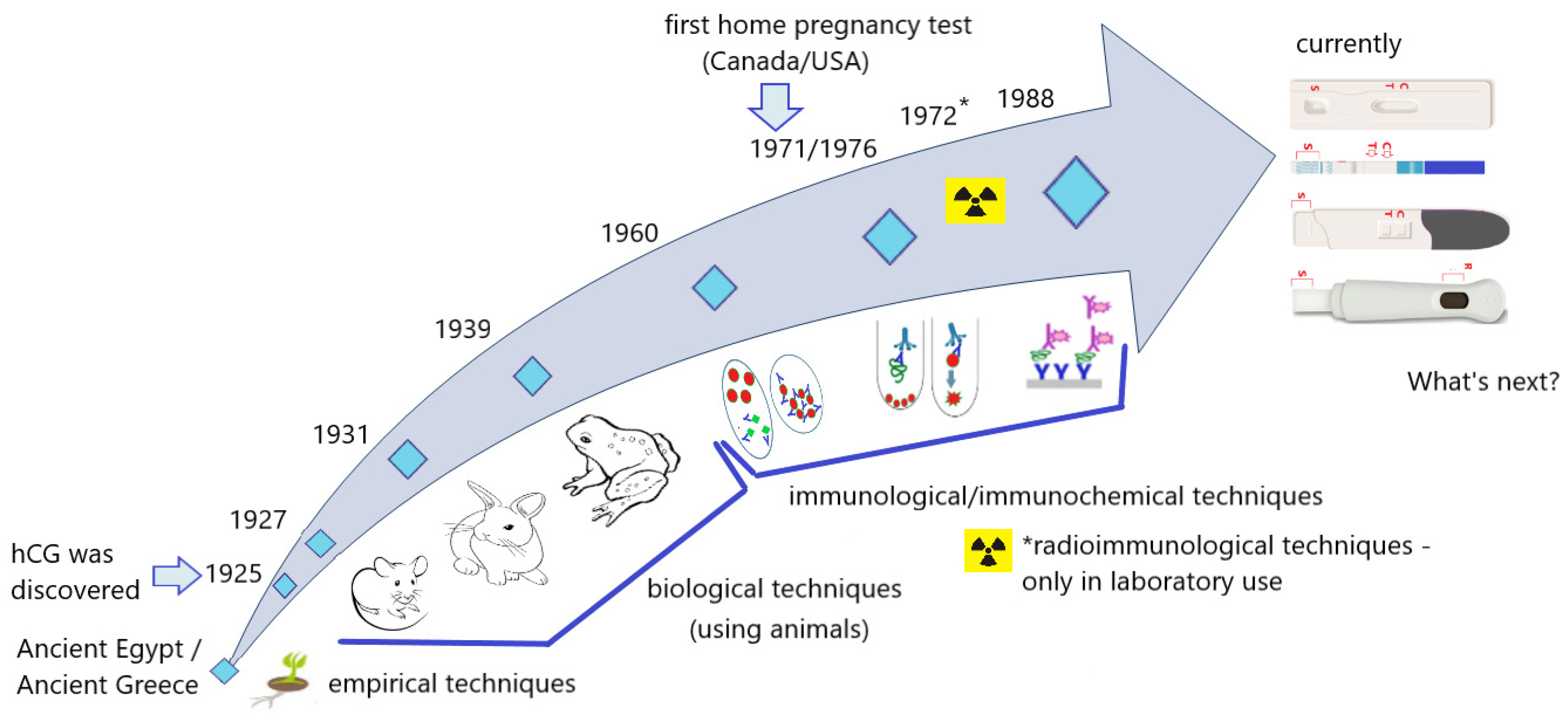 Antibodies 12 00056 g014