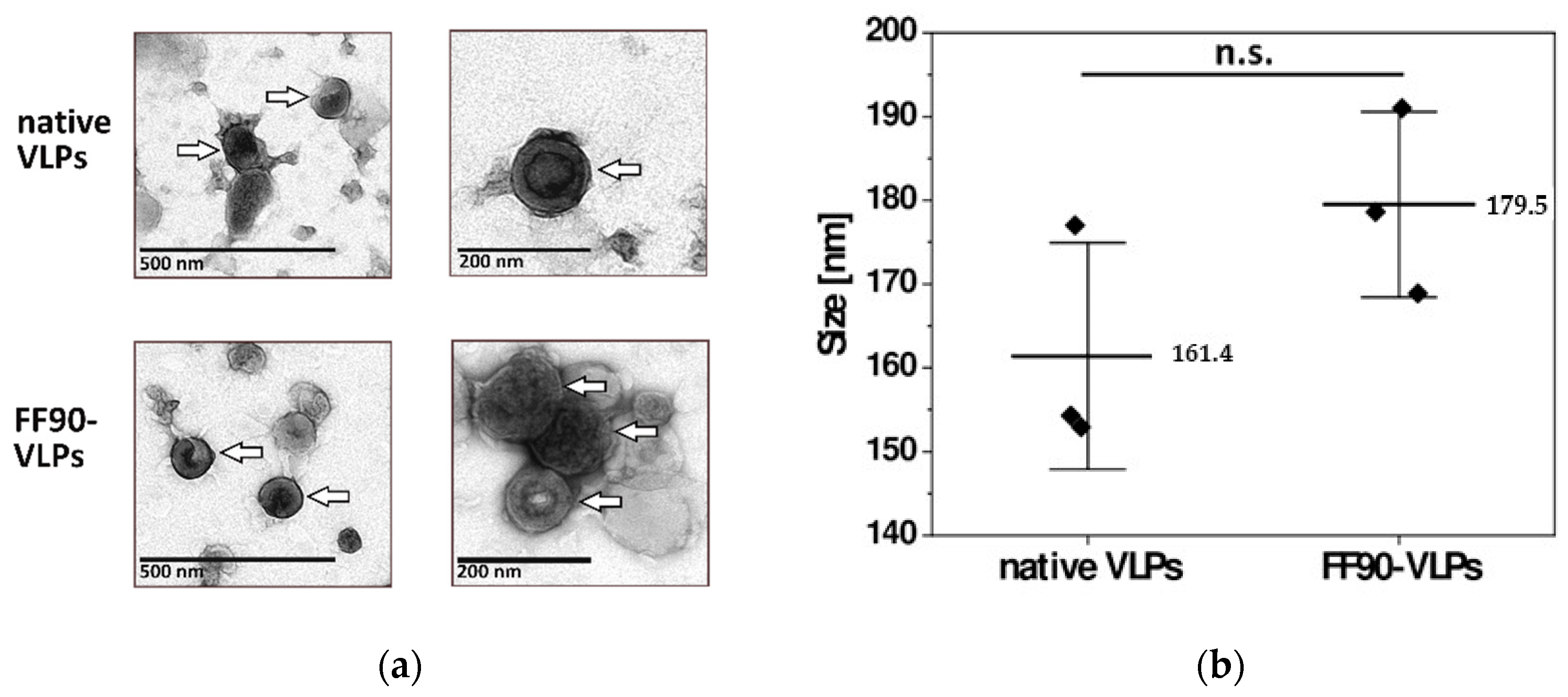 Antibodies 12 00057 g004