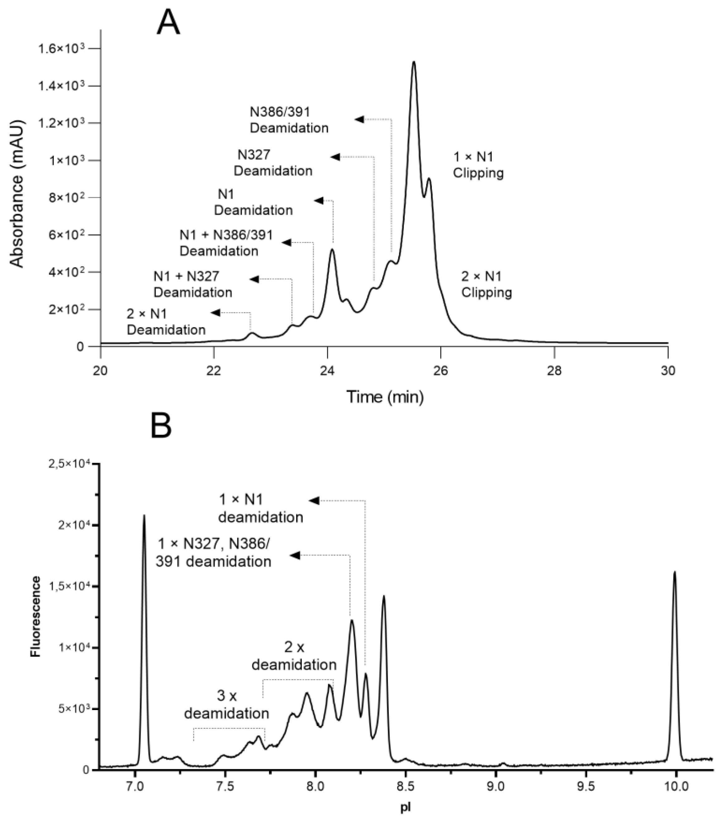 Antibodies 12 00059 g004
