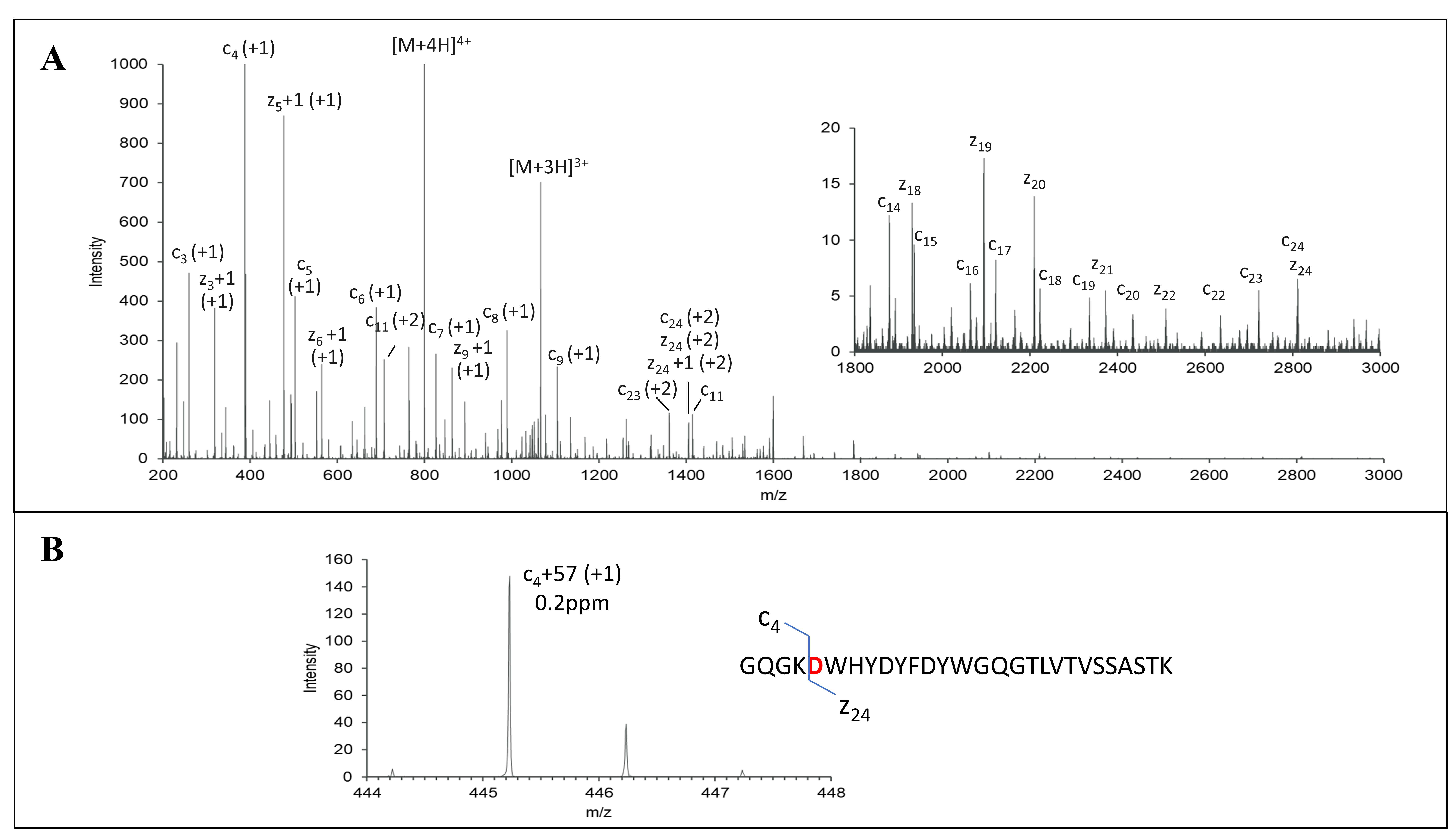 Antibodies 12 00066 g003