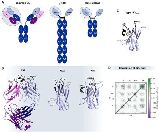 Antibodies 12 00067 g006