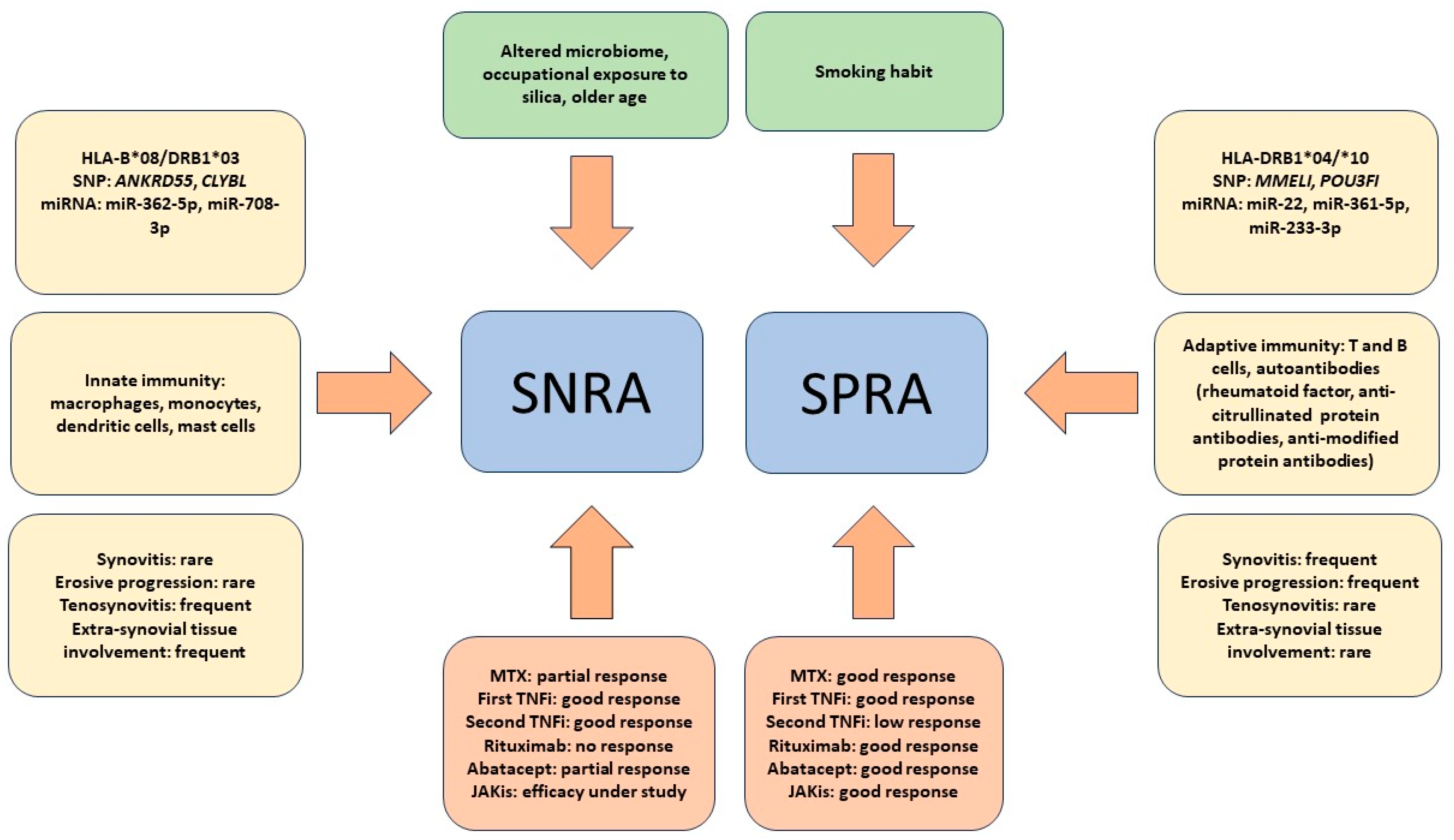 Antibodies 12 00069 g001