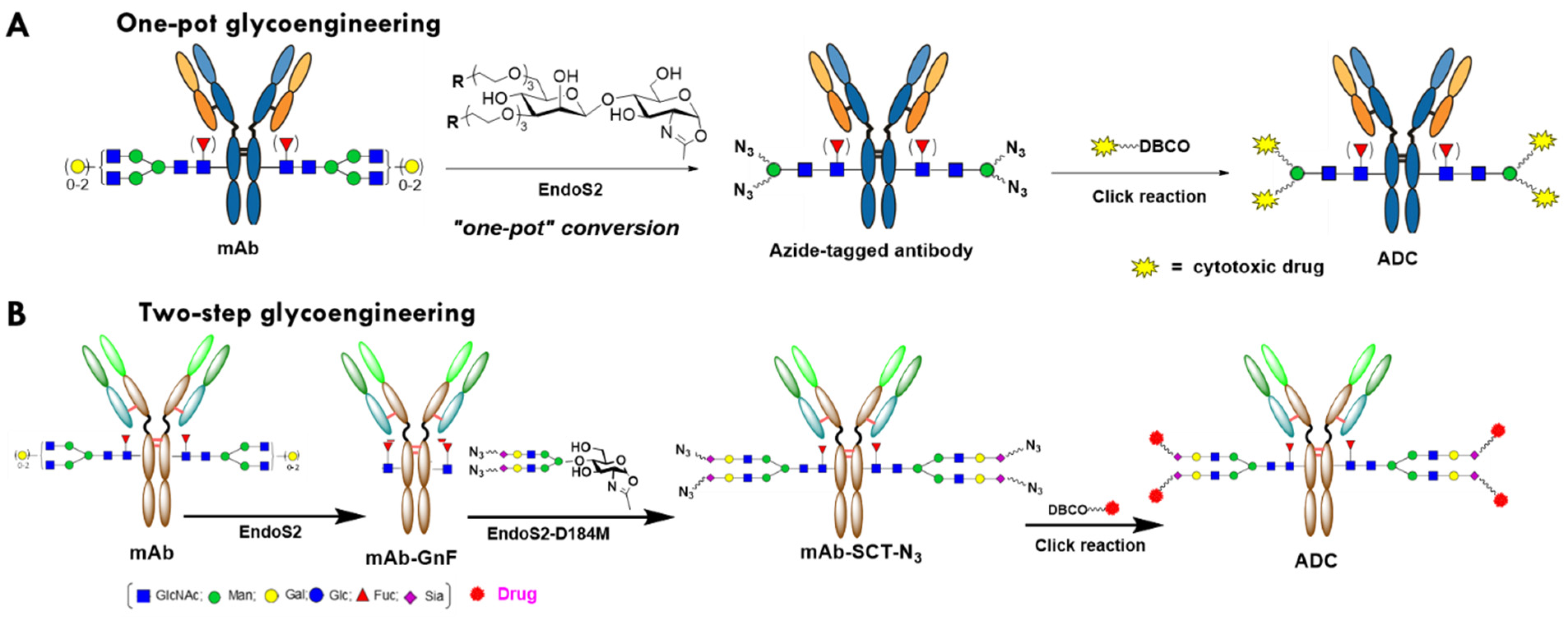 Antibodies 12 00071 g001 Antibodies 12 00071 g001