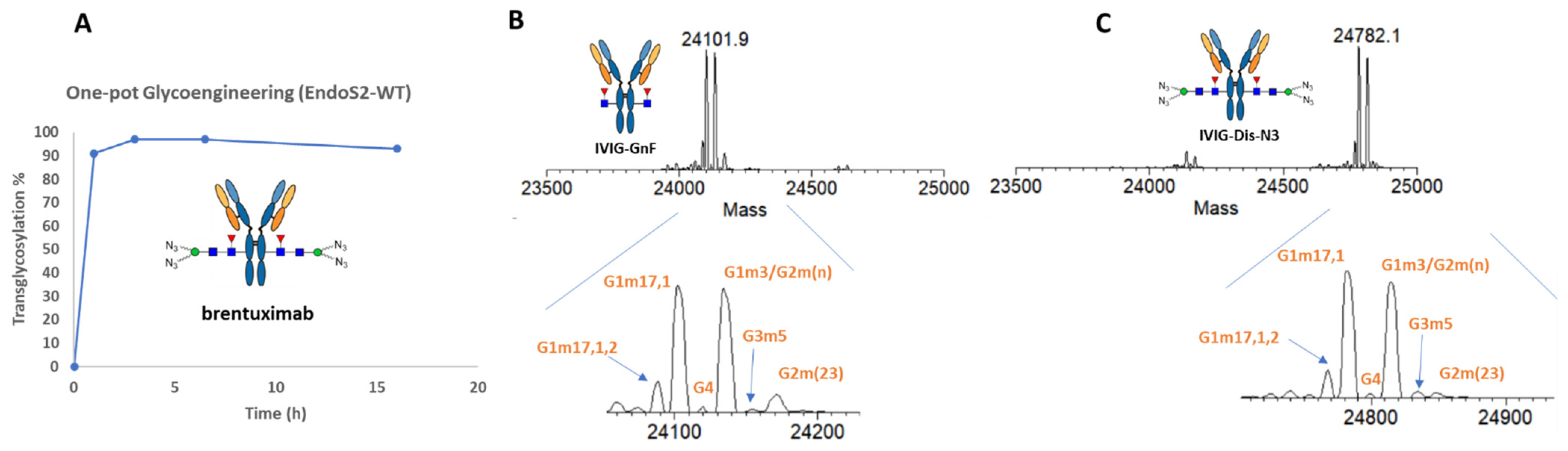 Antibodies 12 00071 g002 Antibodies 12 00071 g002