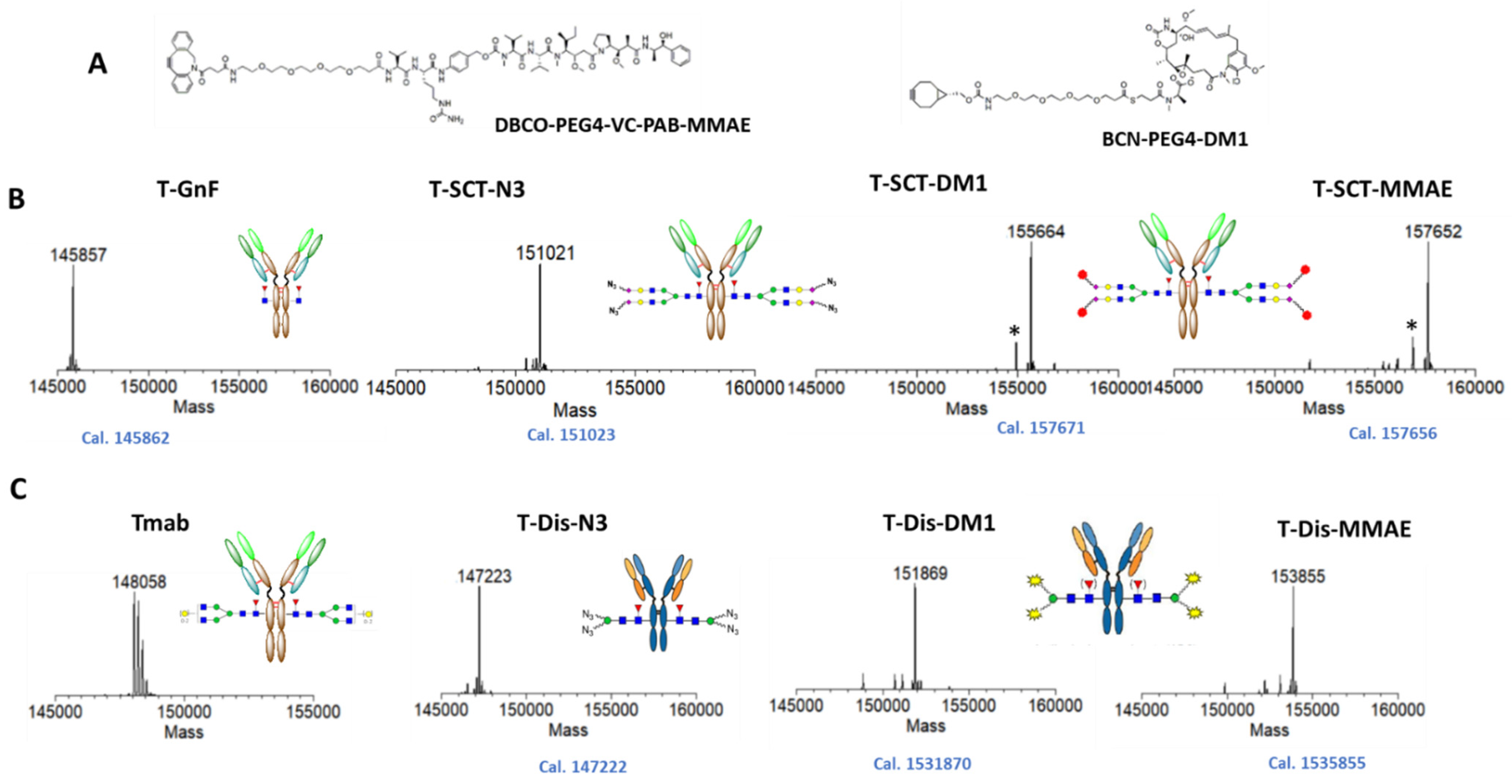 Antibodies 12 00071 g004 Antibodies 12 00071 g004
