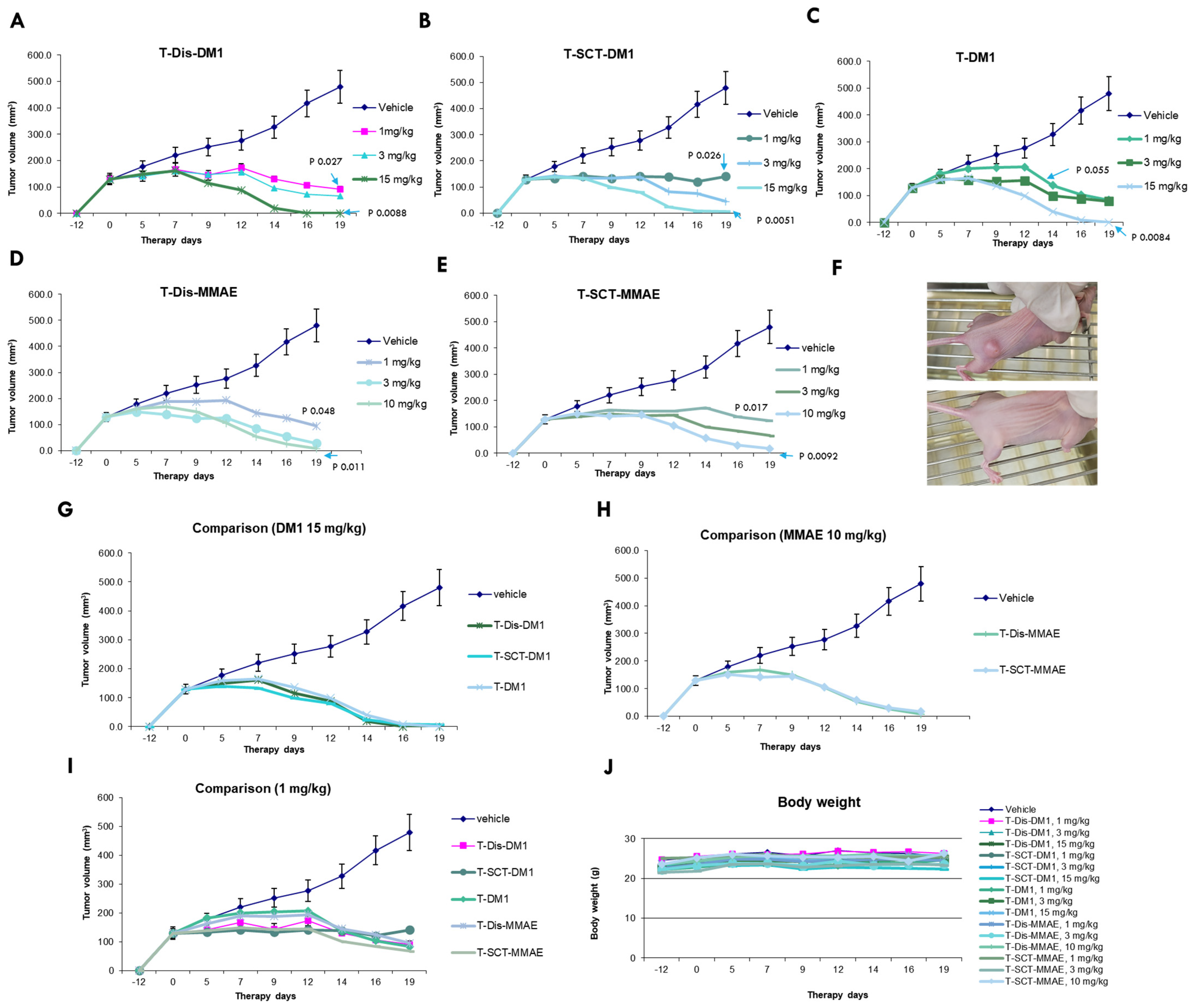 Antibodies 12 00071 g006 Antibodies 12 00071 g006