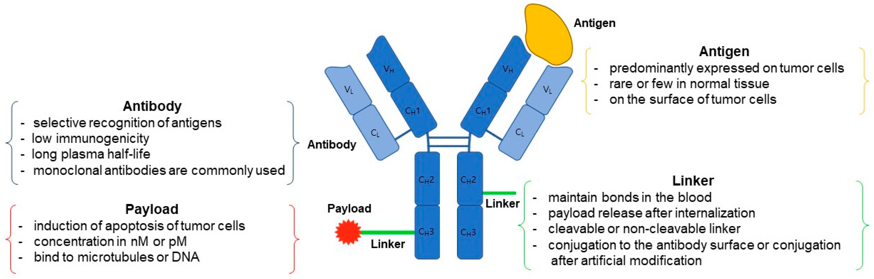 Antibodies 12 00072 g001