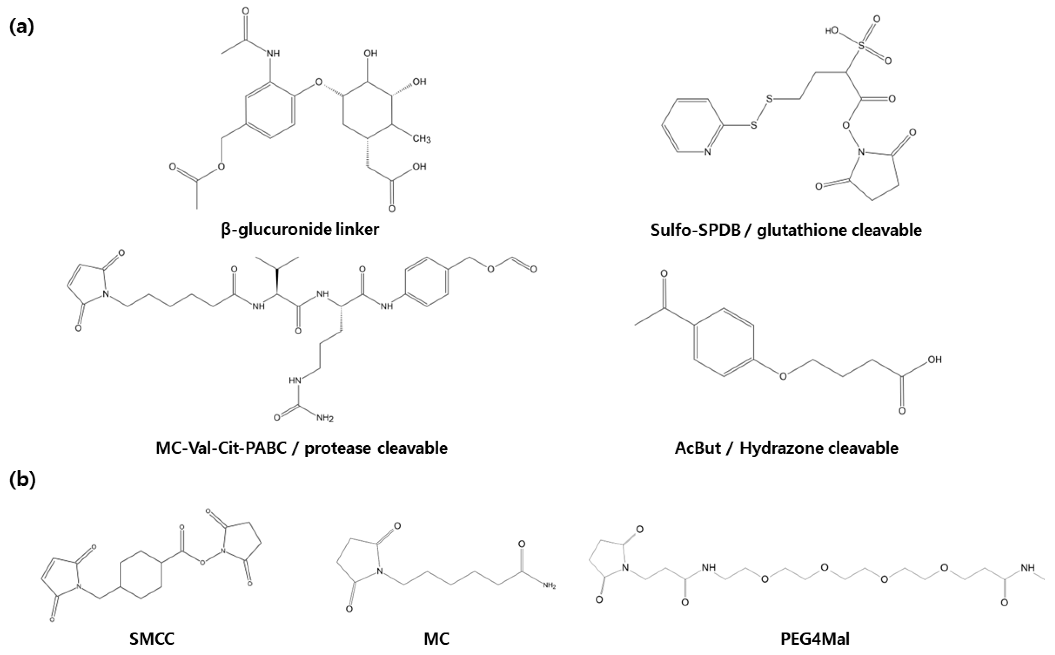 Antibodies 12 00072 g004