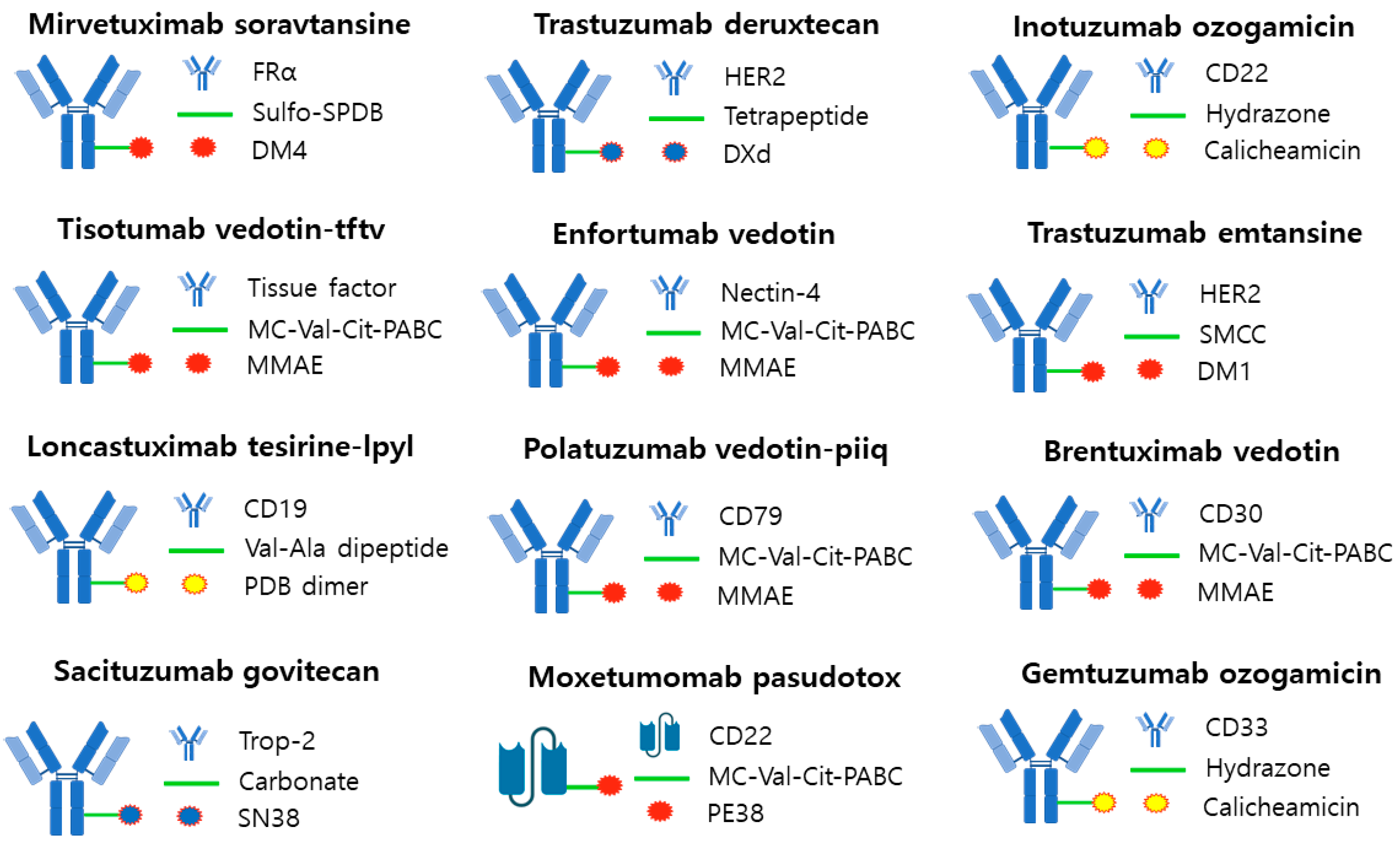 Antibodies 12 00072 g005
