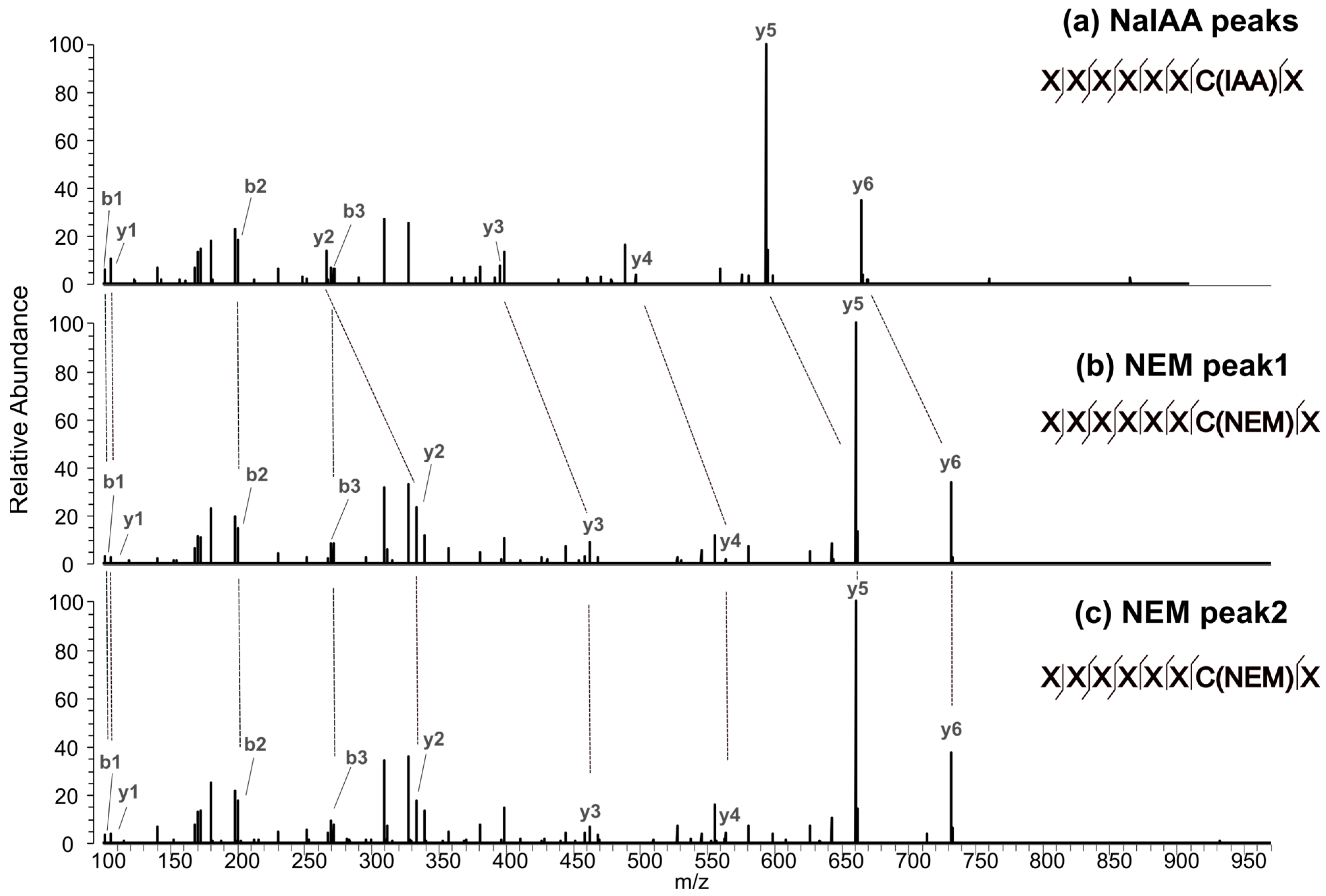 Antibodies 12 00083 g004 Antibodies 12 00083 g004