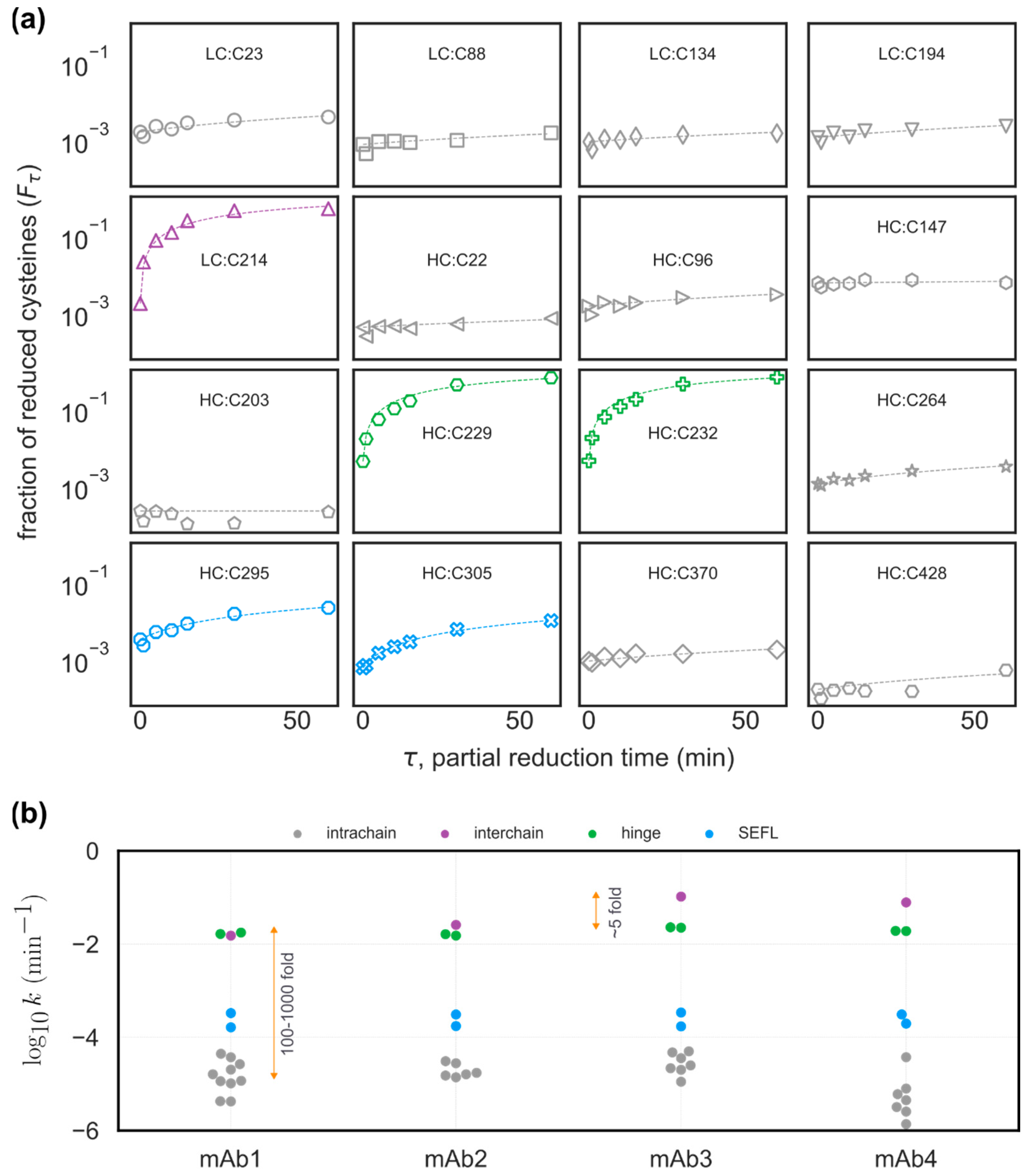 Antibodies 12 00083 g005 Antibodies 12 00083 g005